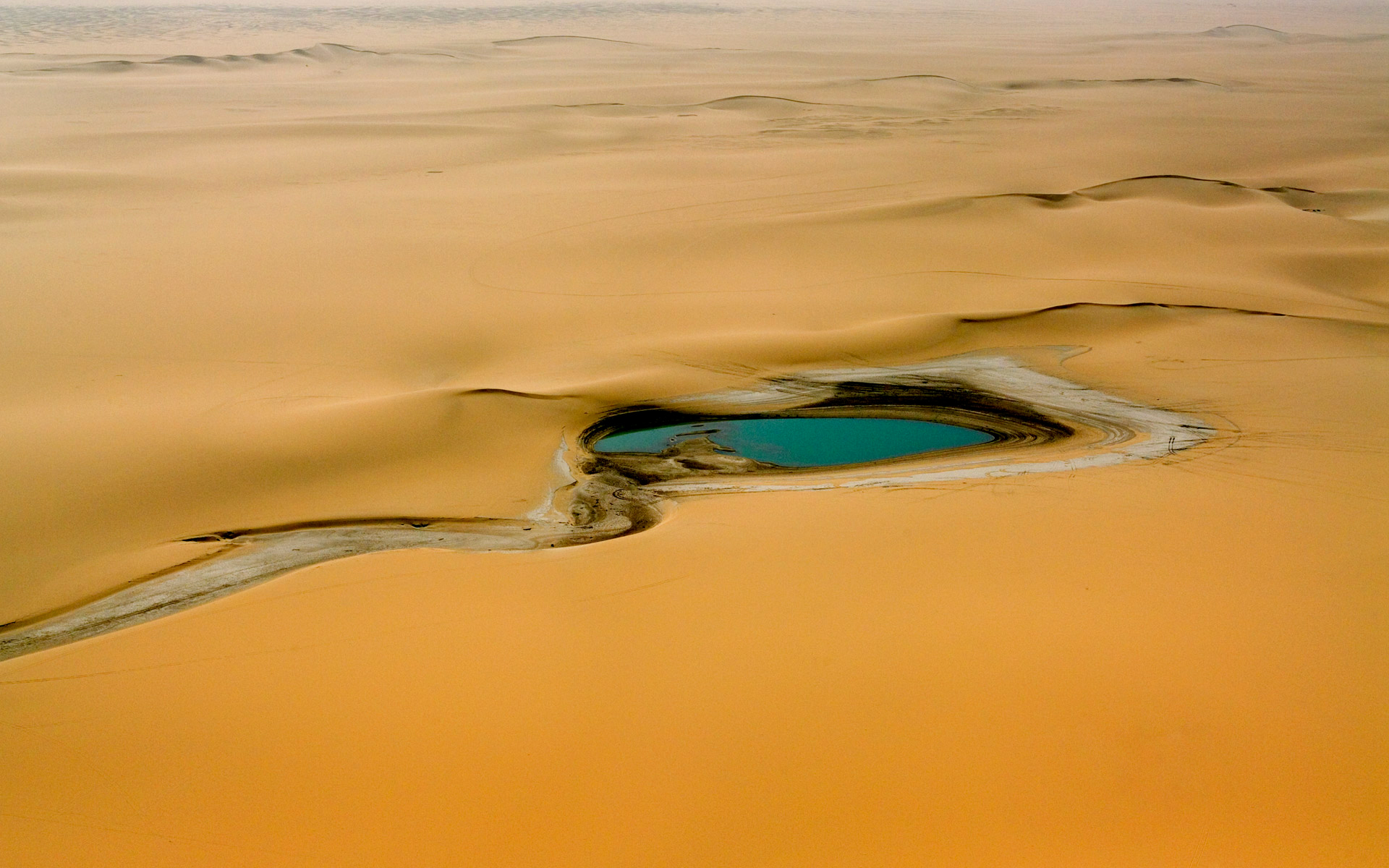 Rivers in the desert. Пустыня Каракум Оазис. Пустыня сахара Оазис. Оазис пустыни Африки. Африка сахара Оазис.