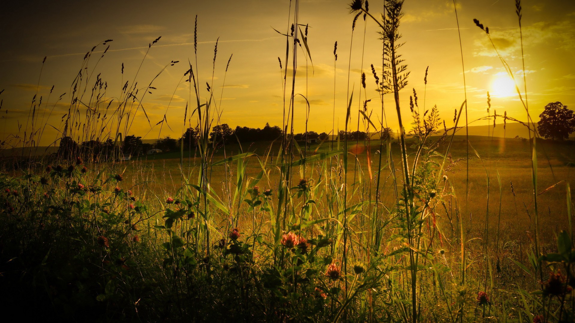 Природа 271388