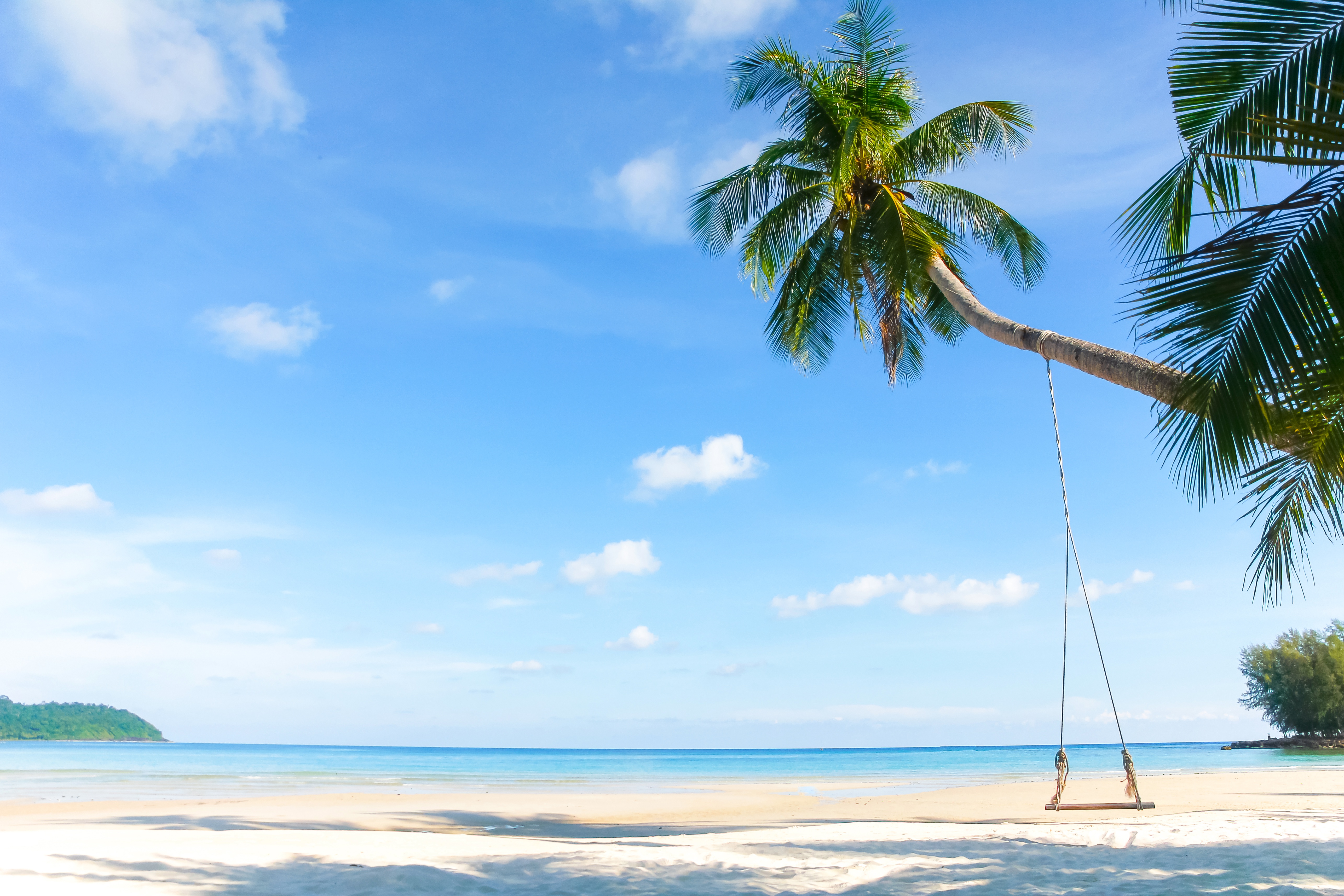 устрицы, море