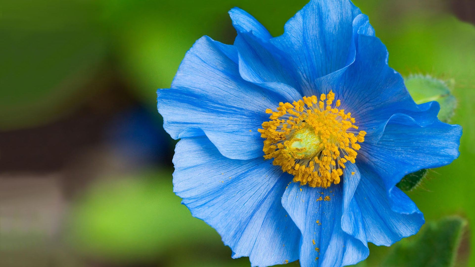 день, время