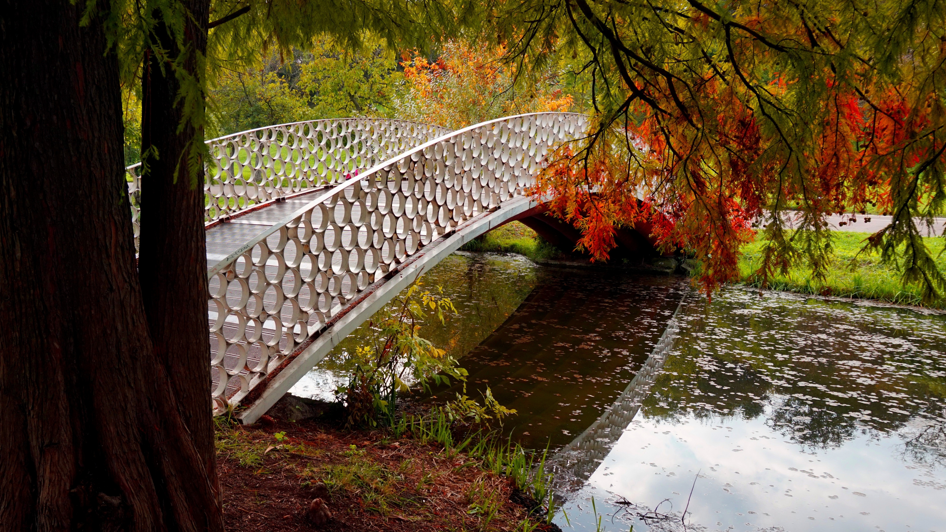 природа мост осень деревья листья река nature the bridge autumn trees leaves river бесплатно