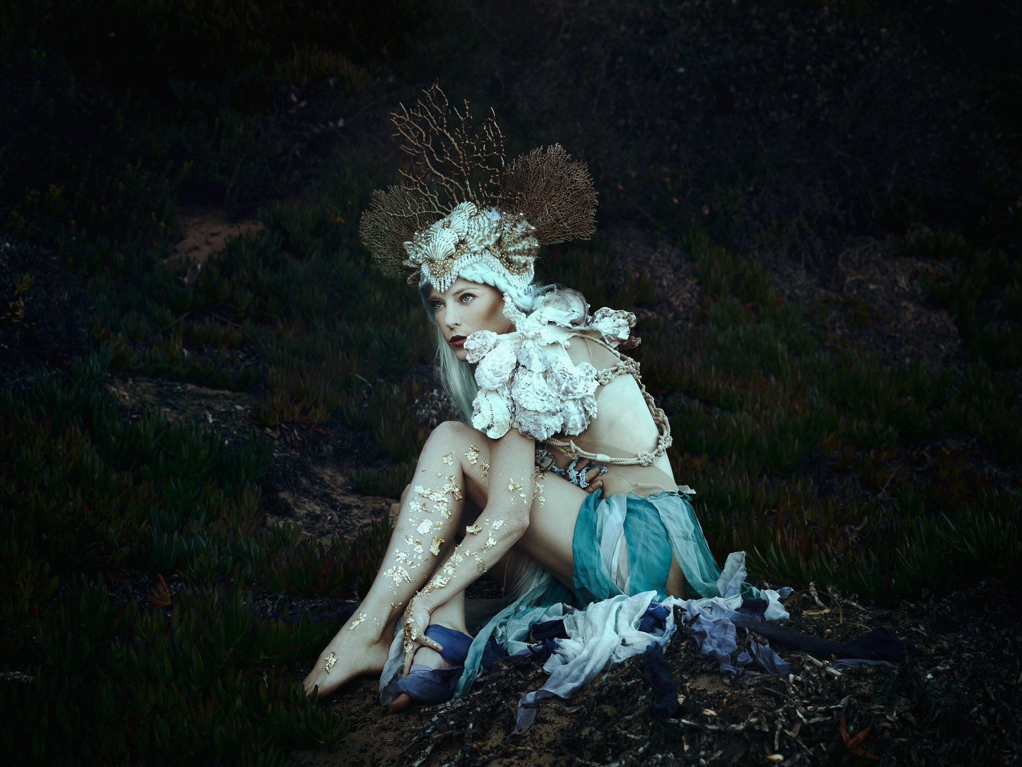 котак, белла, фантазия