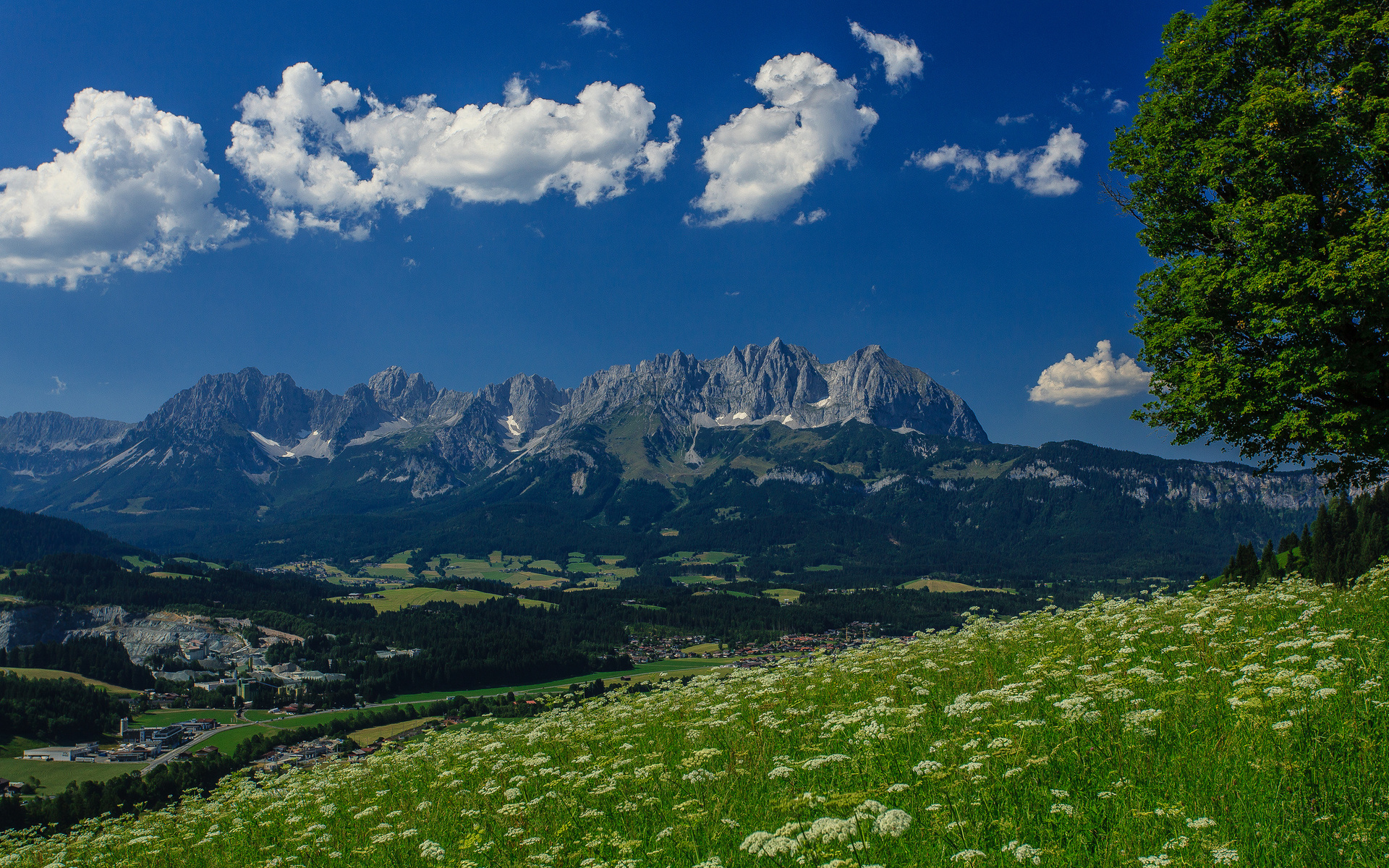 130797 Разрешение 1920x1200