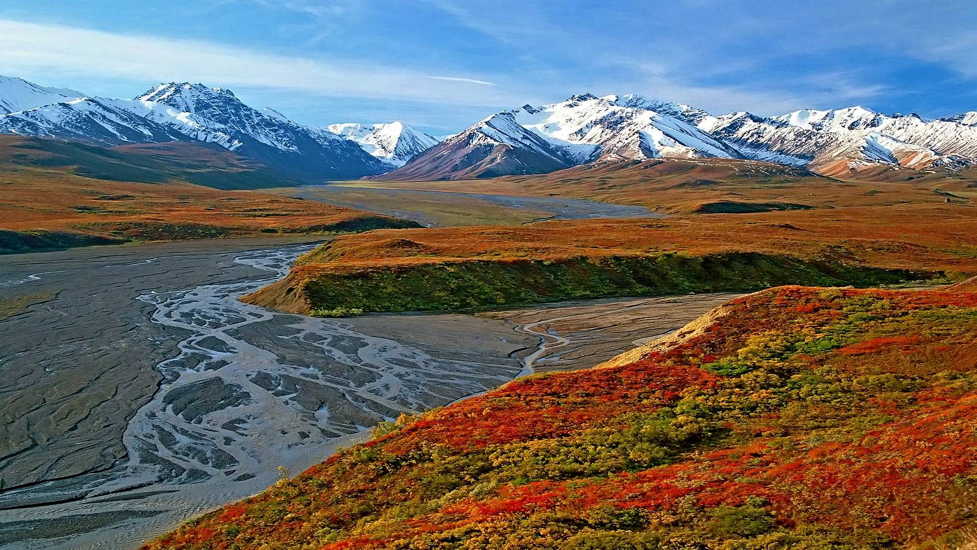 denali, les, national