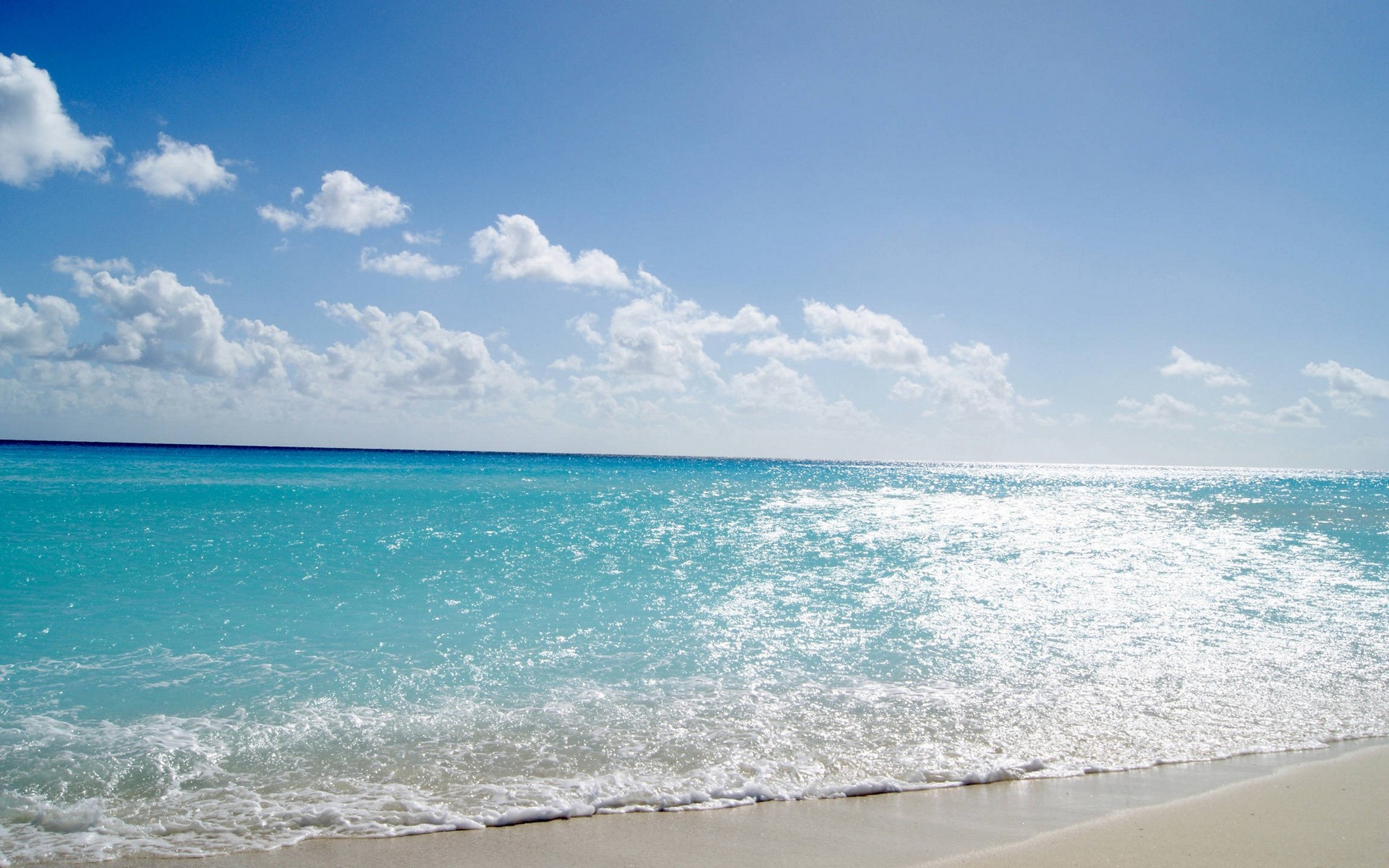 сушит, фандарт