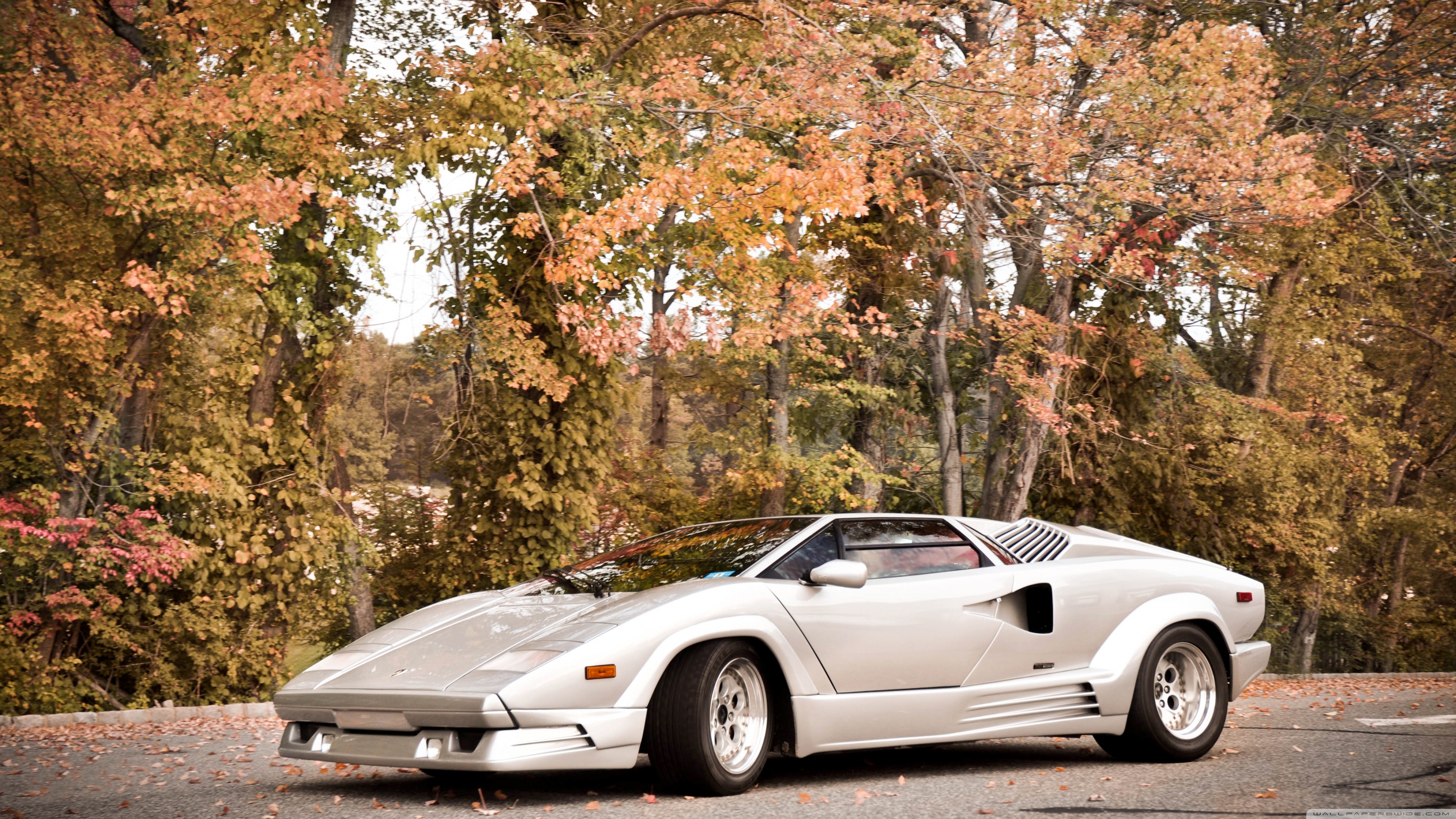lamborghini, countach, facebook