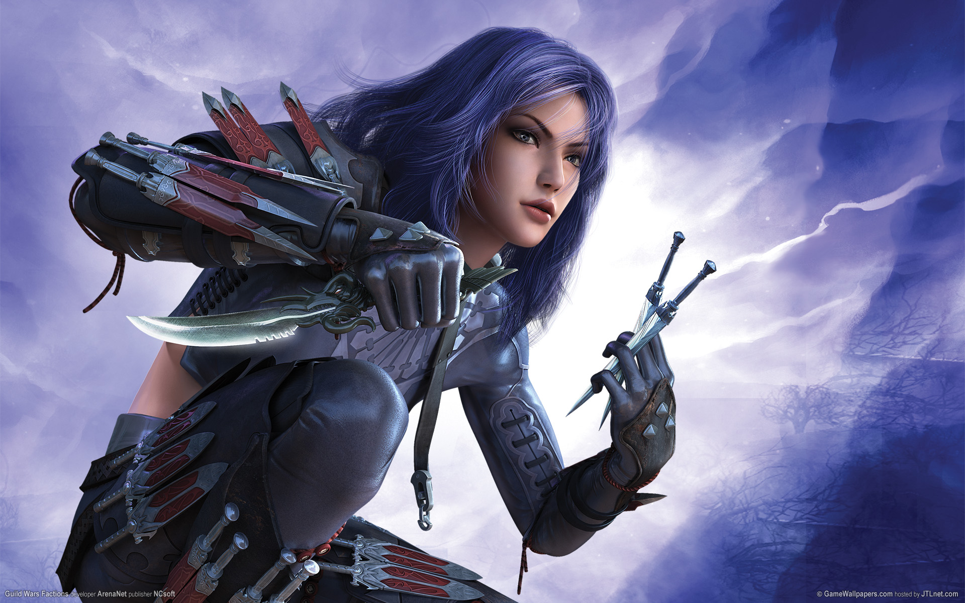 guild, Wars No 11131 Разрешение 1920x1200