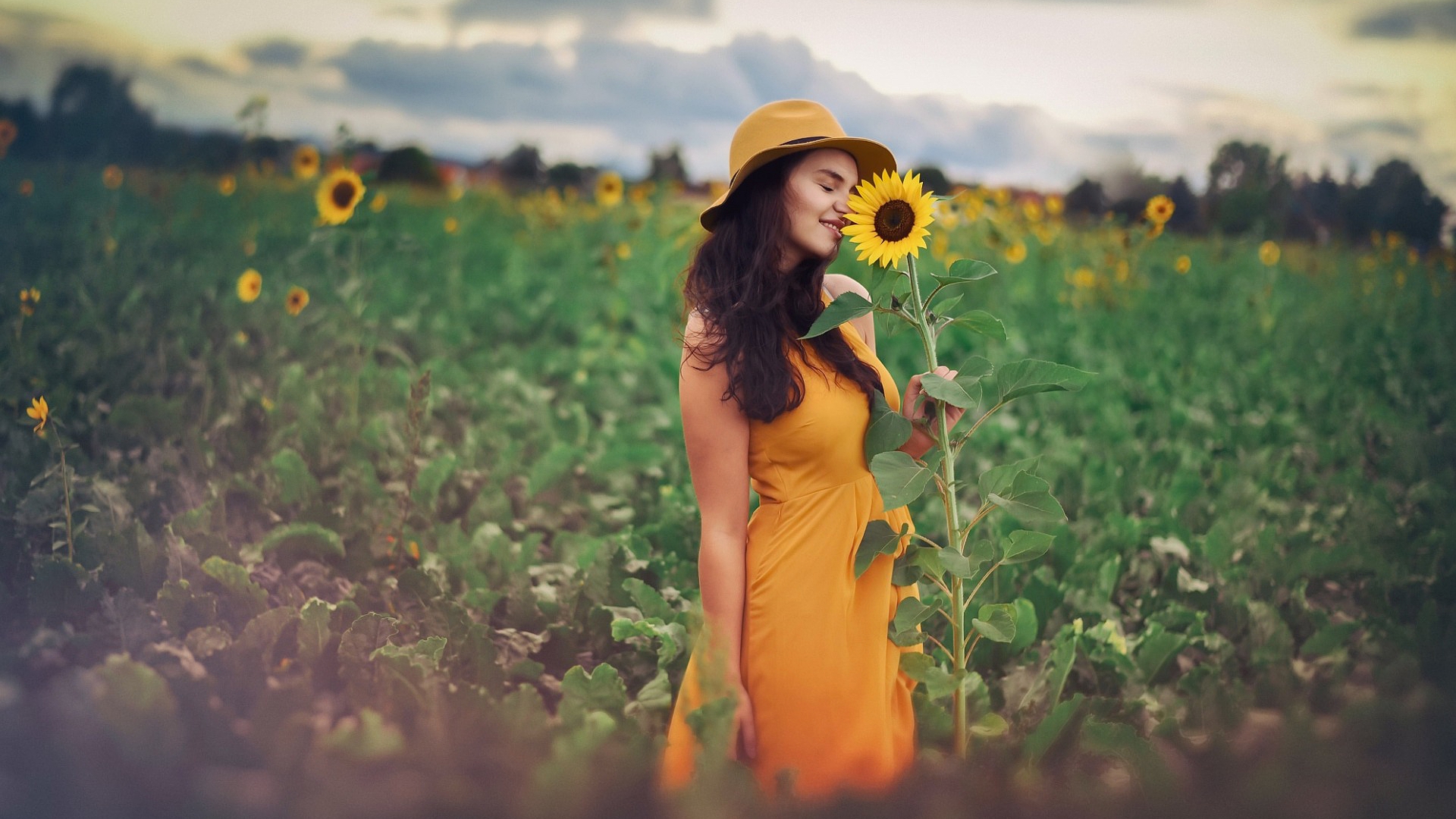 под суннух, девушка, медведев