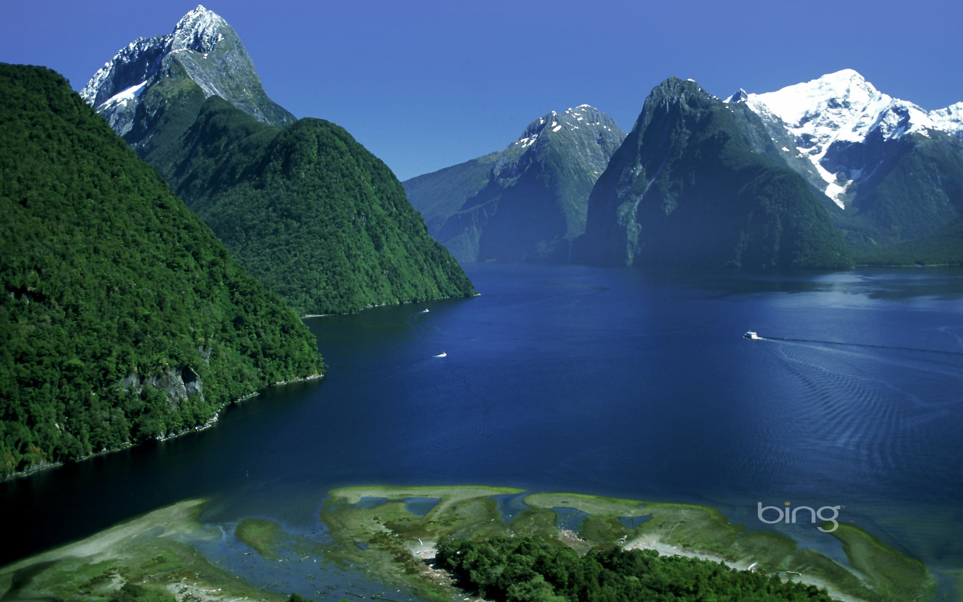 zealand, new