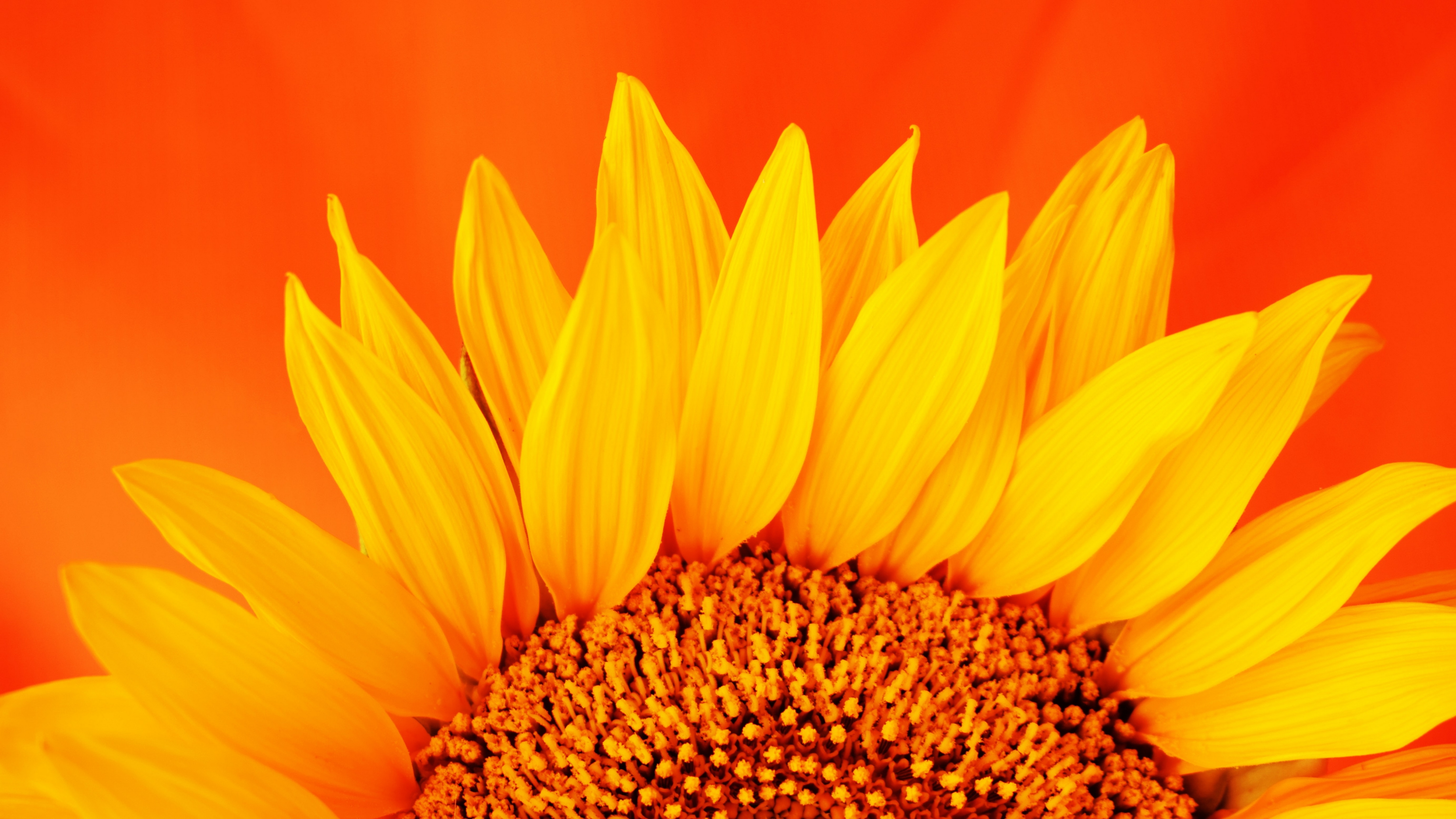 мобильный, портативный смартфон