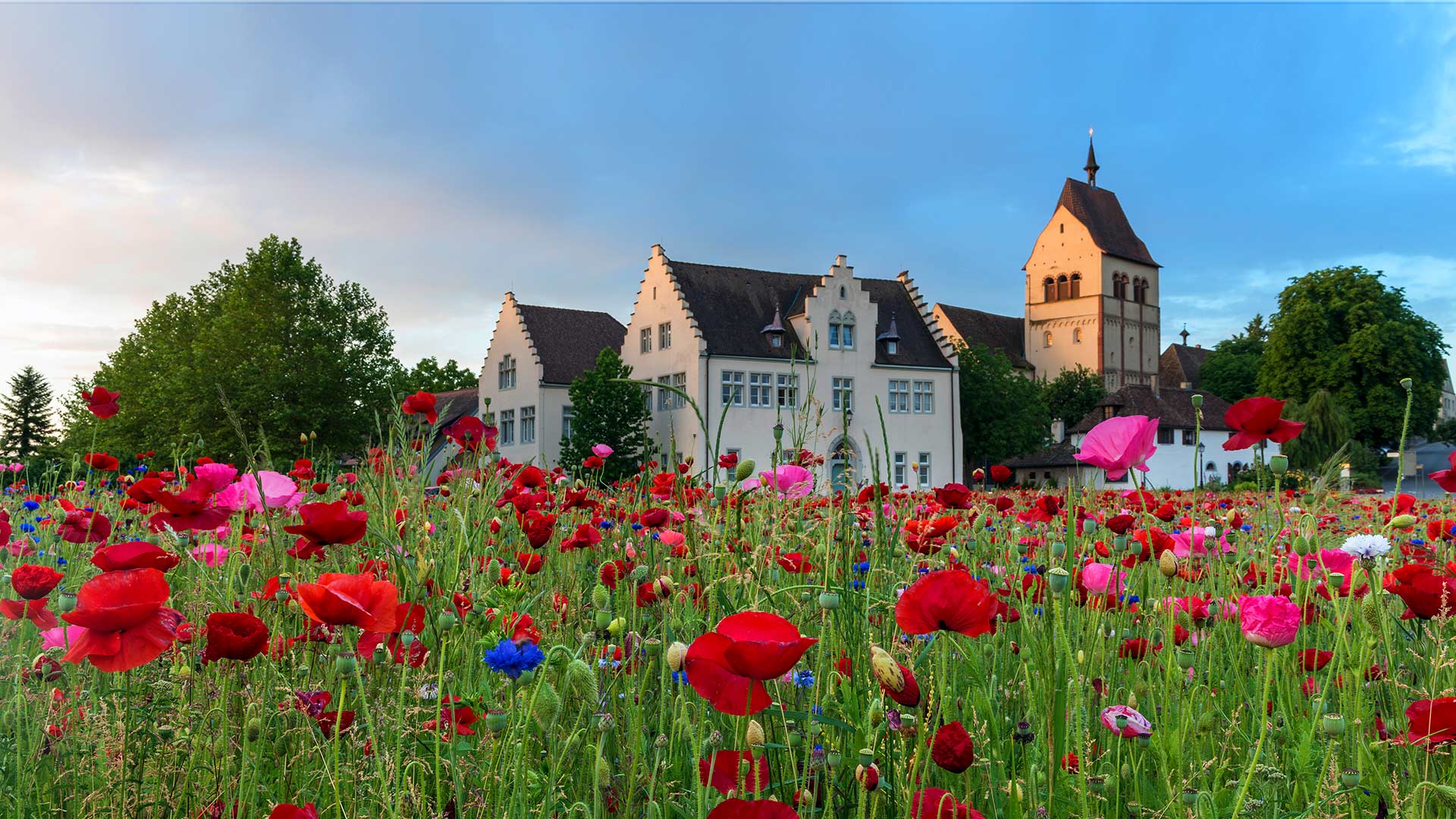 Germany summer. Германия летом. Природа Германии. Весна в Германии. Весна в Баварии.