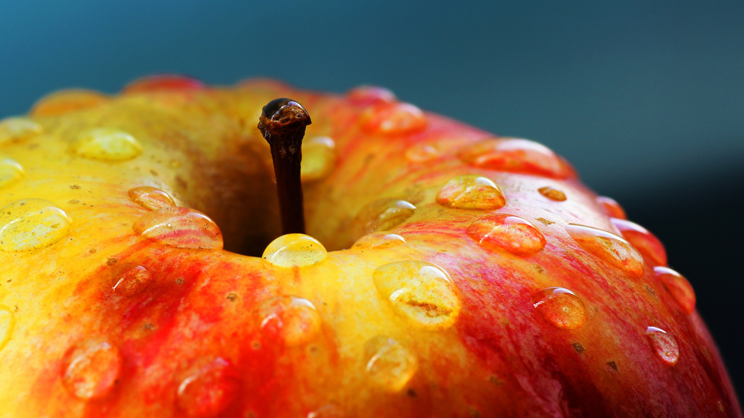 apple, красное, макро