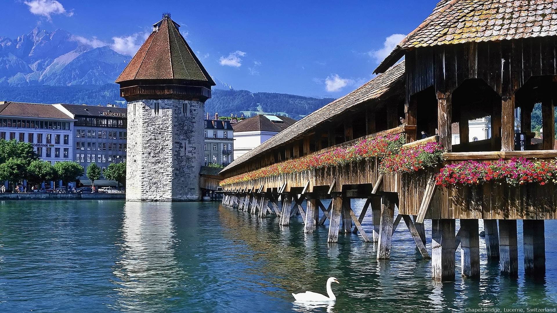 lucerne, manor