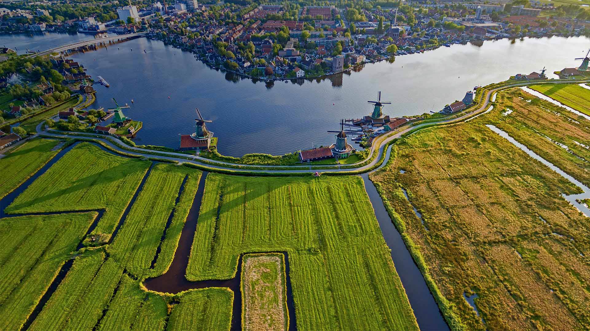 ветряк, zaanse, schan