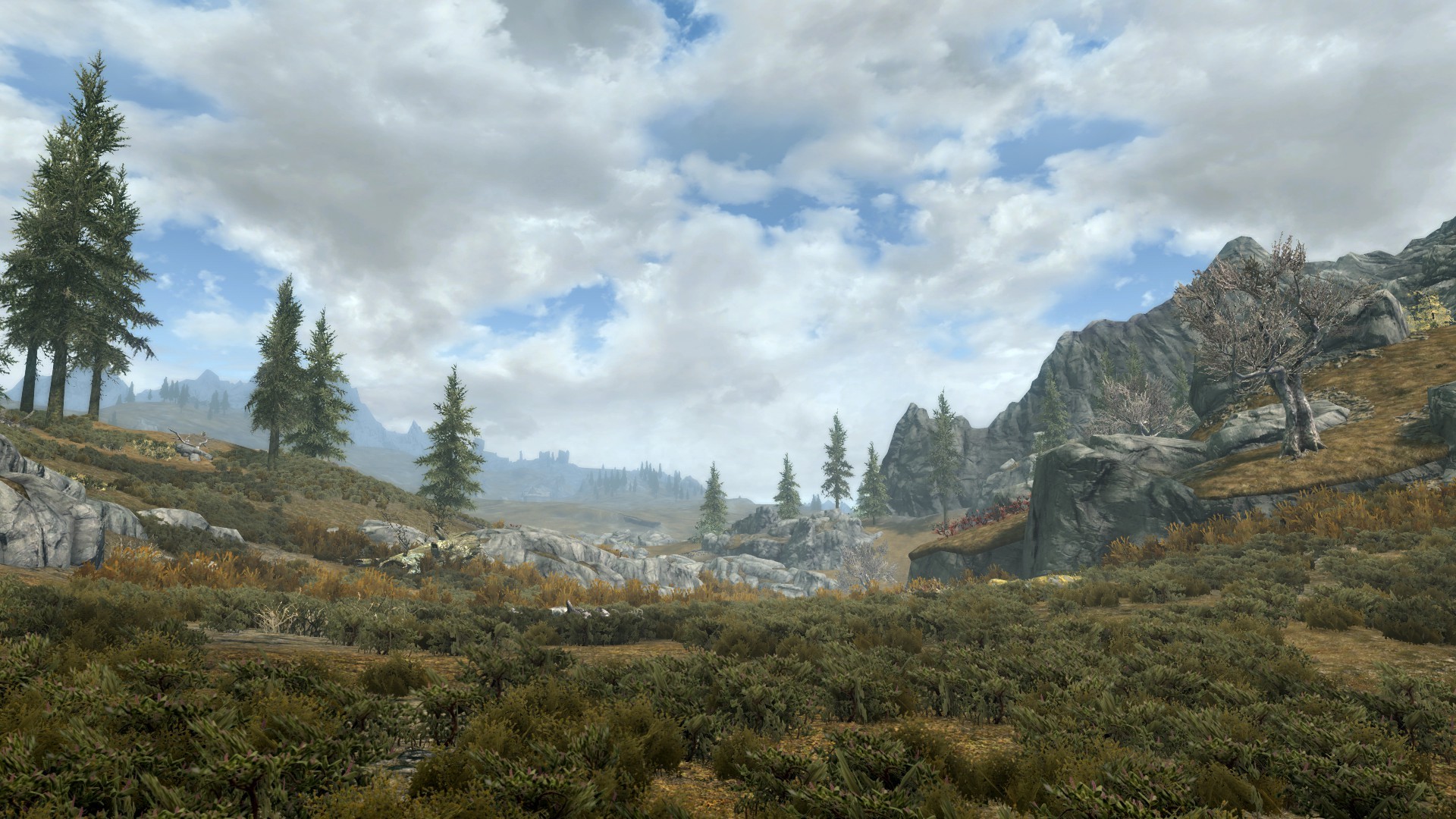Играть холма. The Elder Scrolls 5: Skyrim лес. Скайрим Скриншоты горы. Лесная Долина скайрим. Скайрим горы.