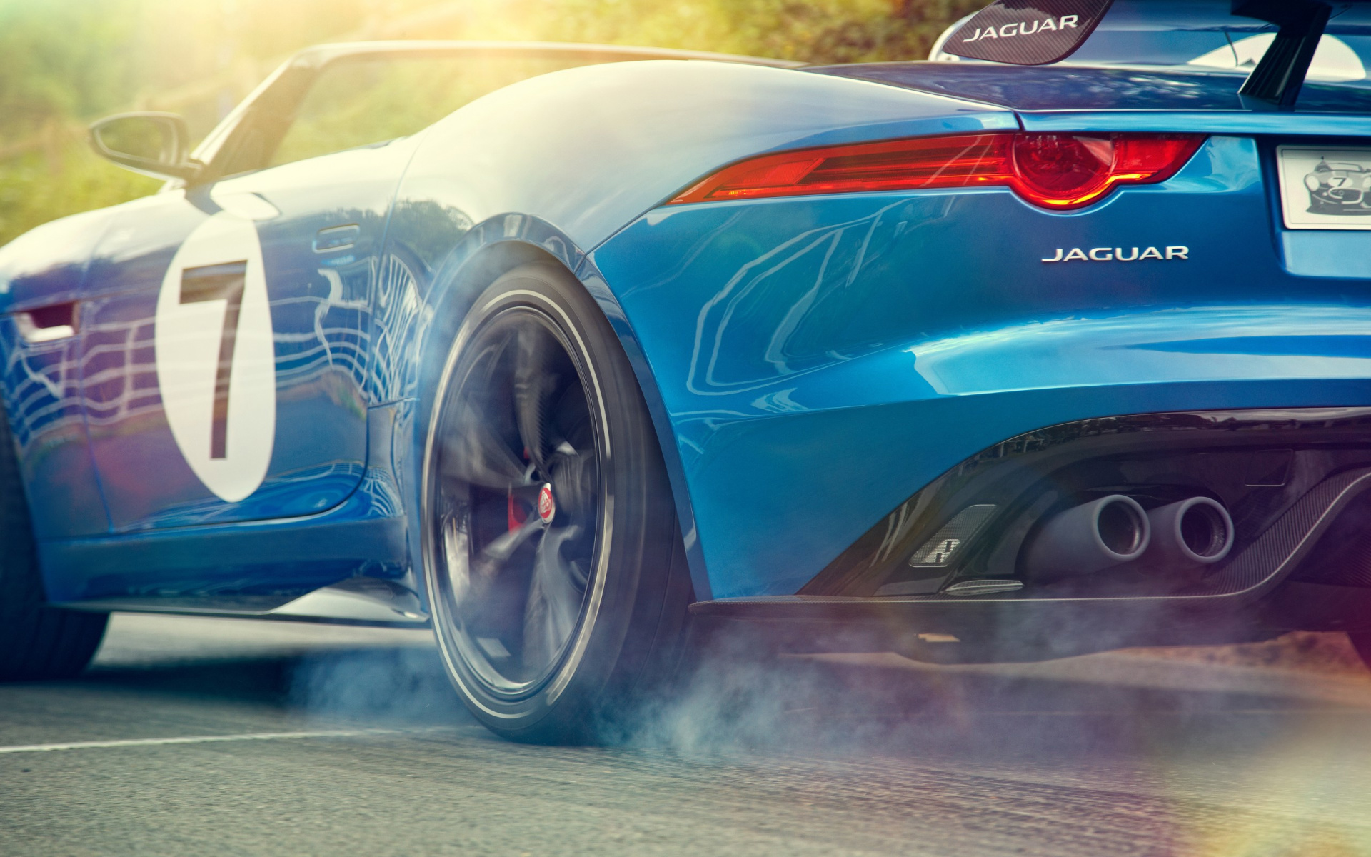 jaguar, вид, код 113278 Разрешение 1920x1200