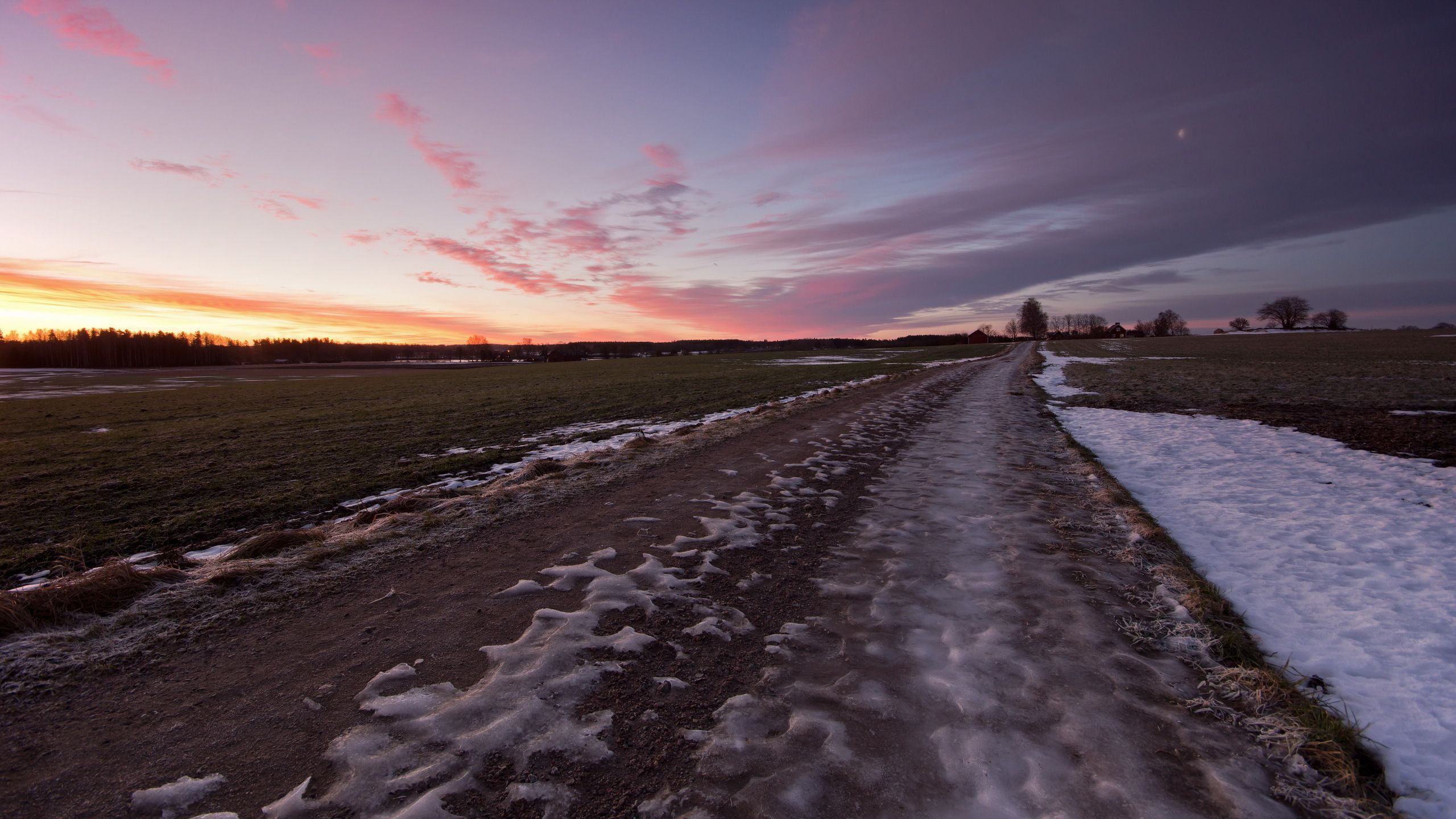 лента, страница