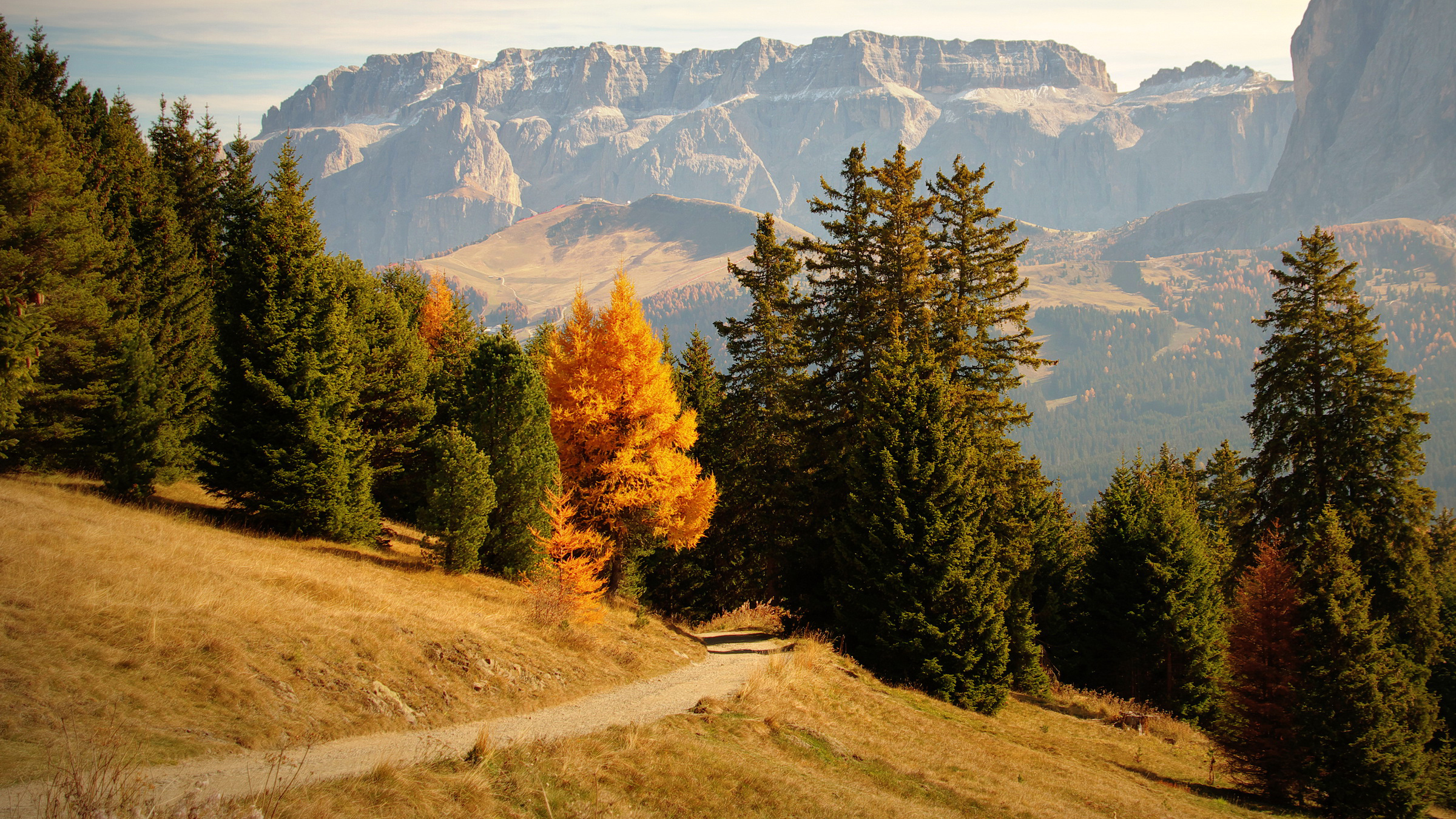 bolzano, лес, смесь
