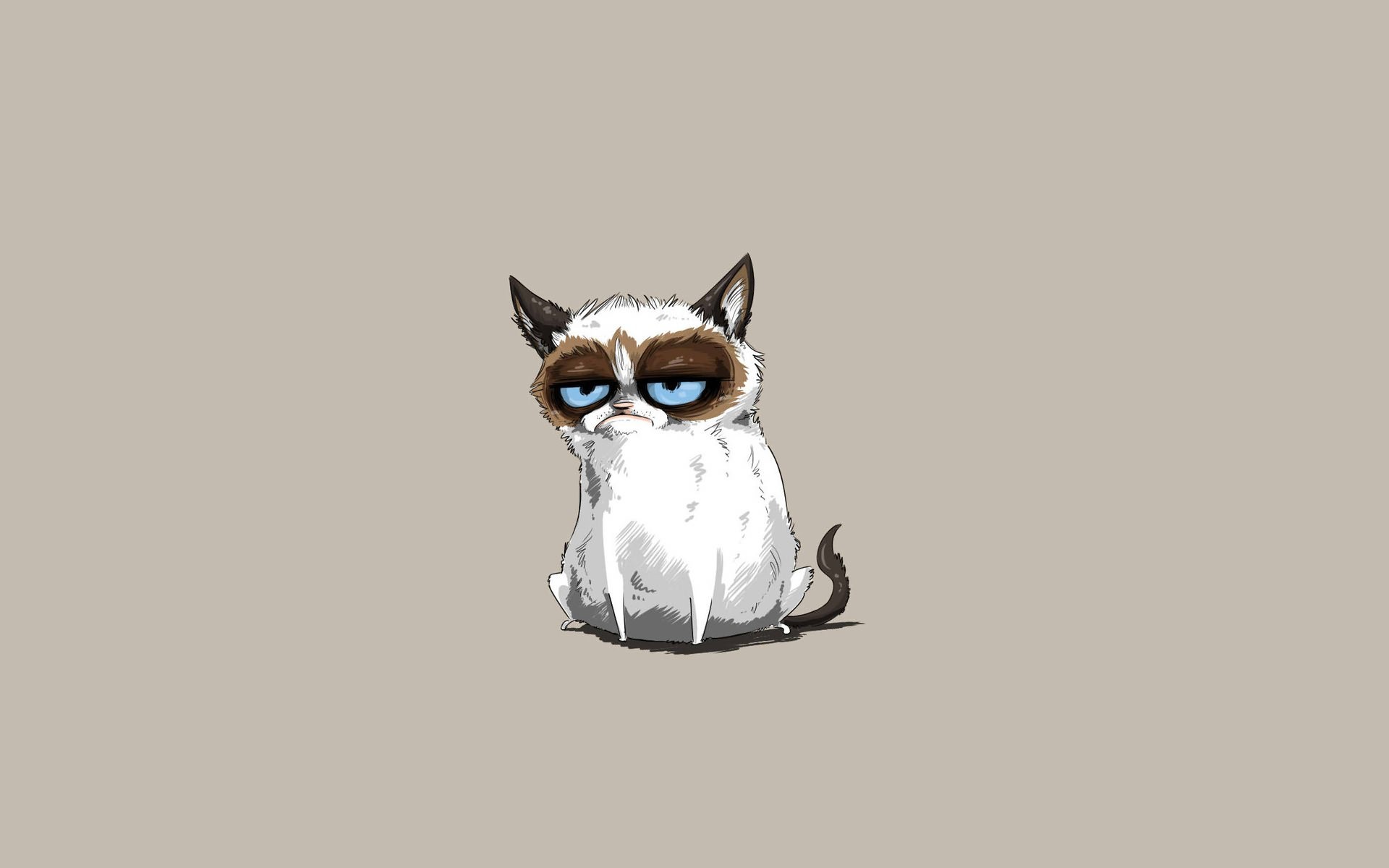 кот, минимализм, гремучие