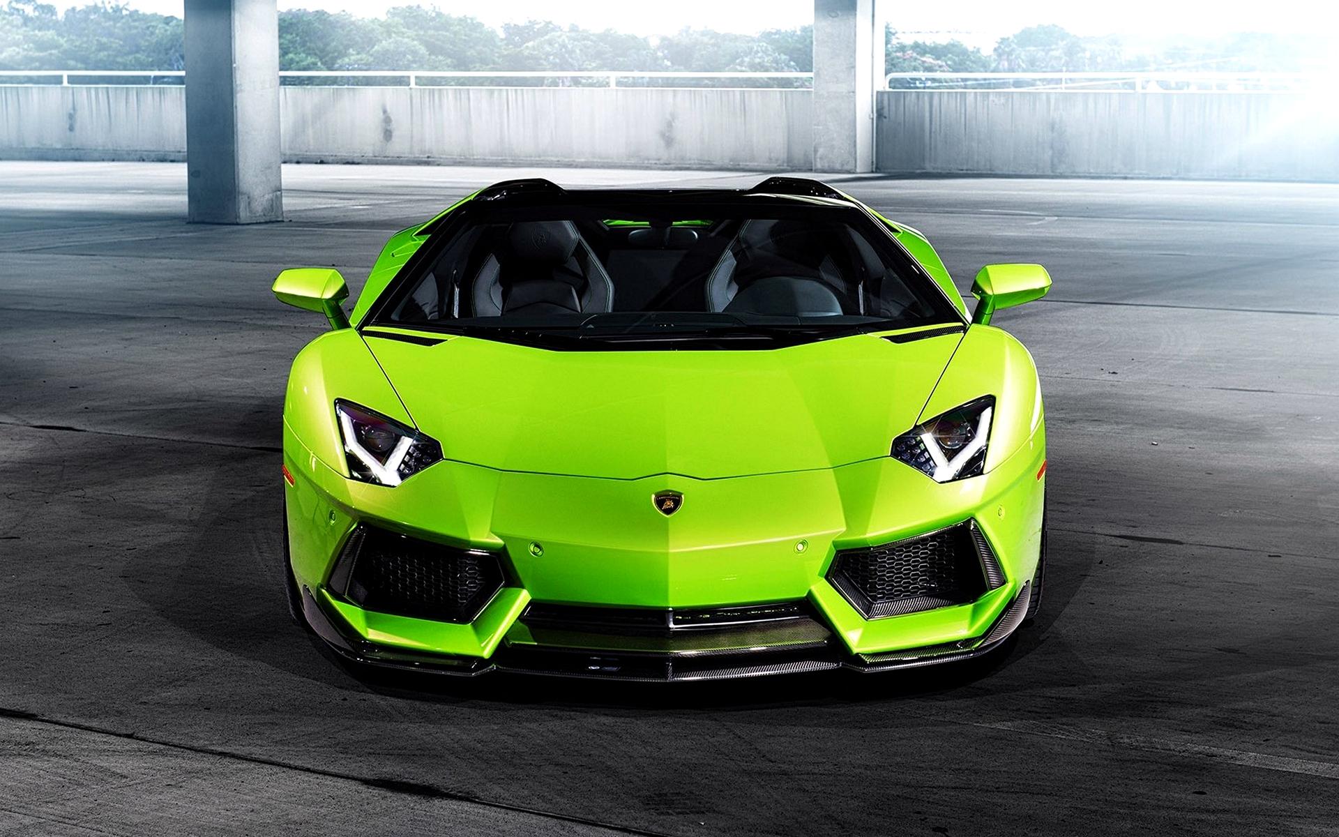 lamborghini, тюльцин, aventador Разрешение 1920x1200