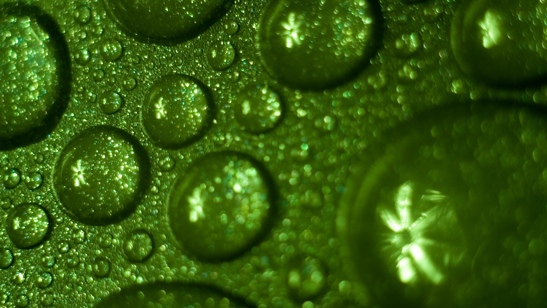 drop, water