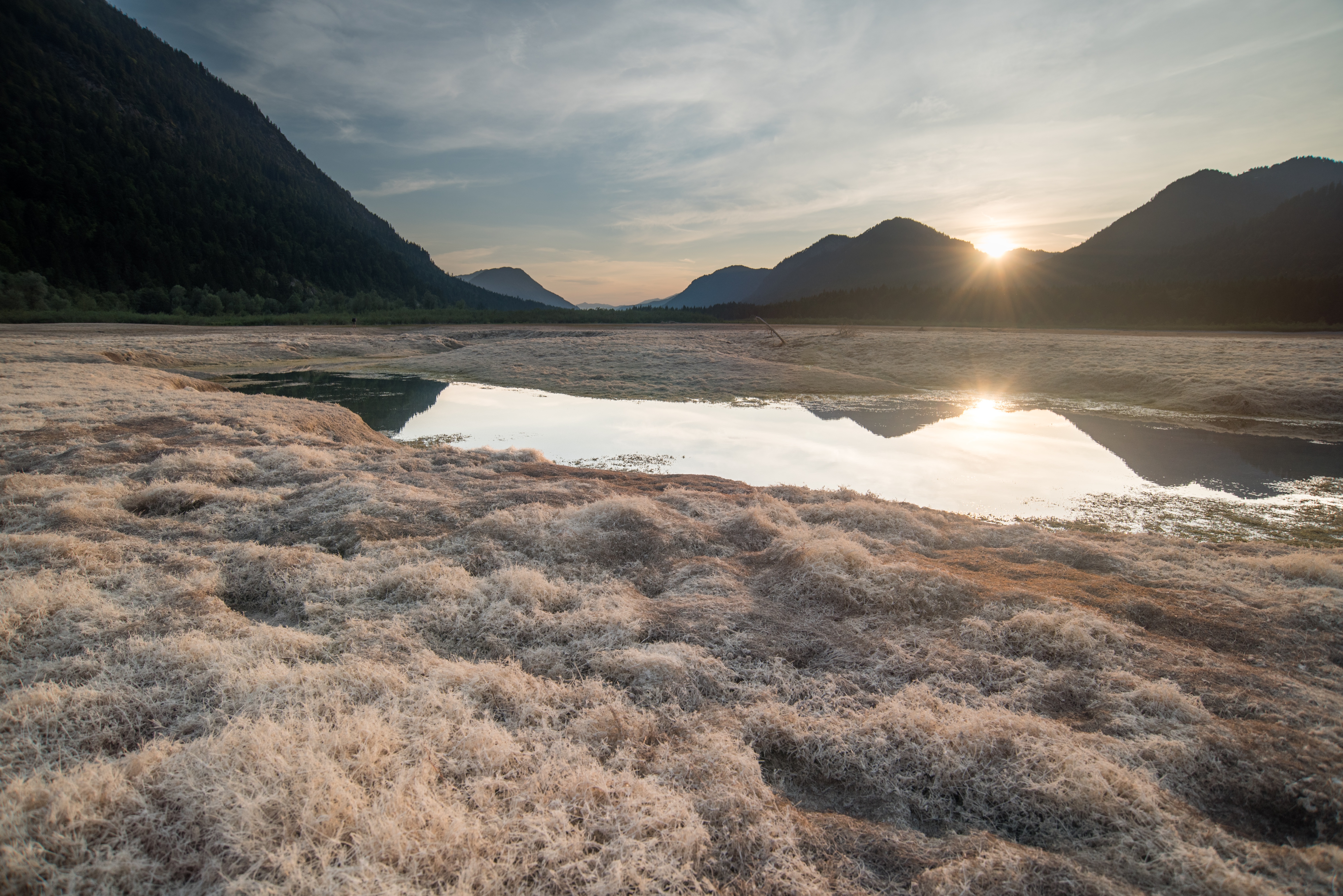 tarn, lake, wikipediatarn