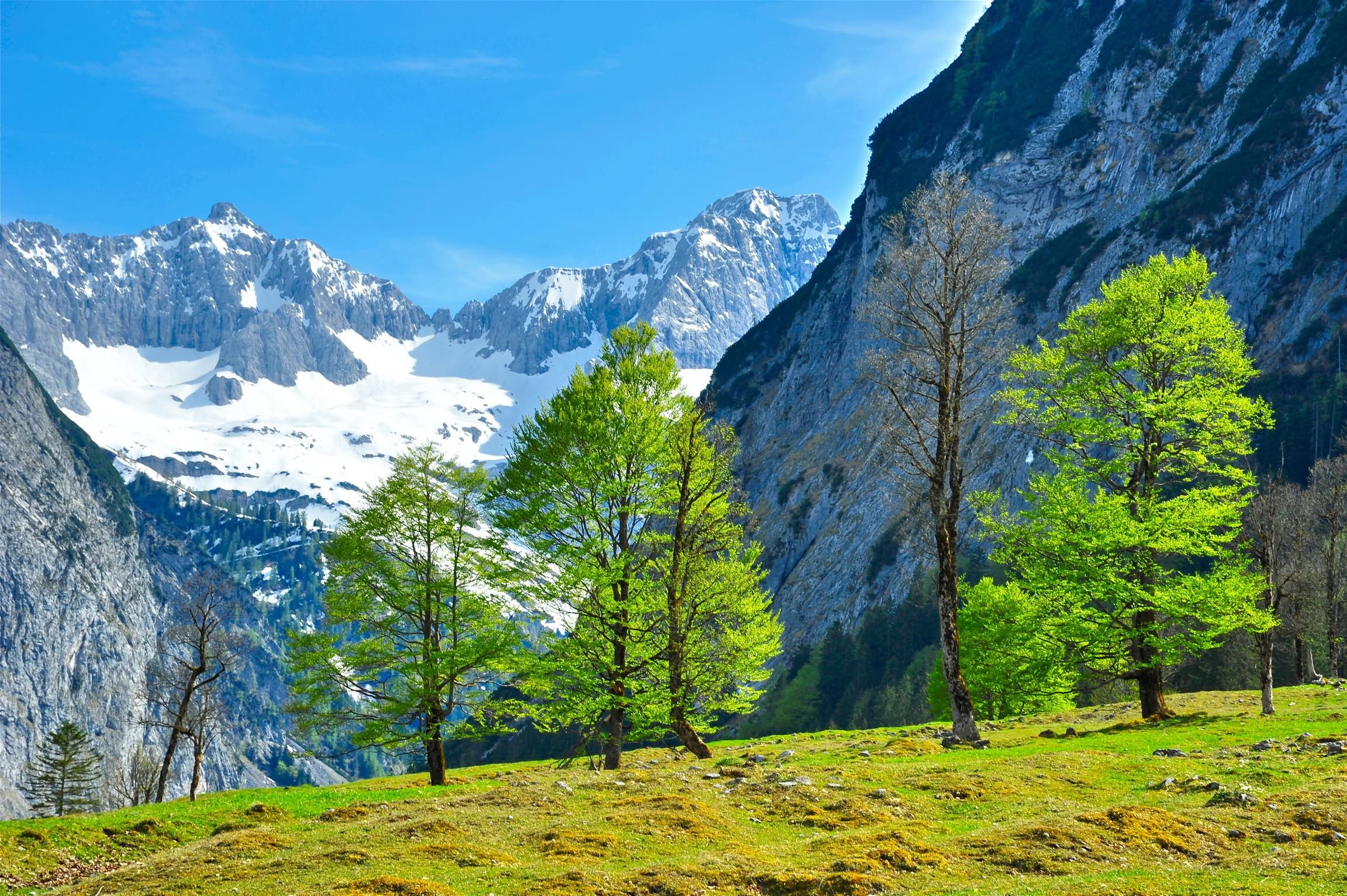 naturaleza, paisaje, австрия