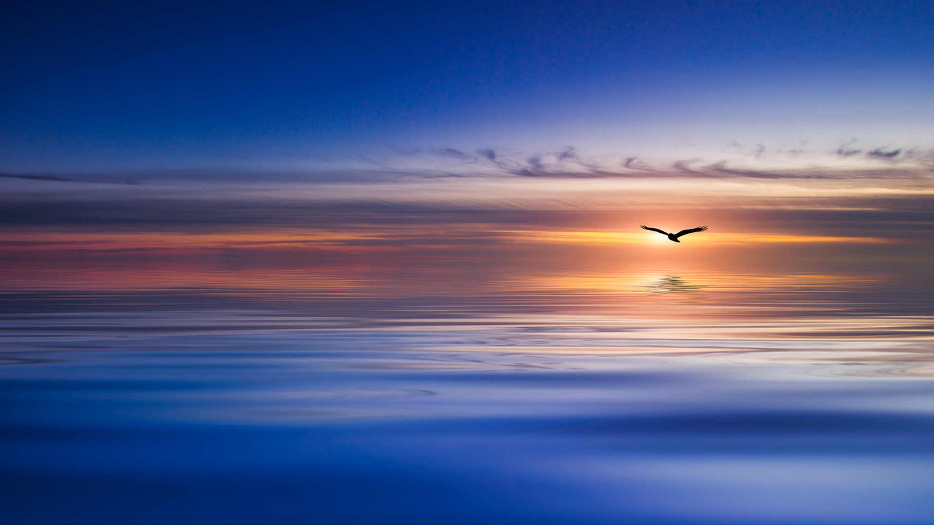 голубое, голубое