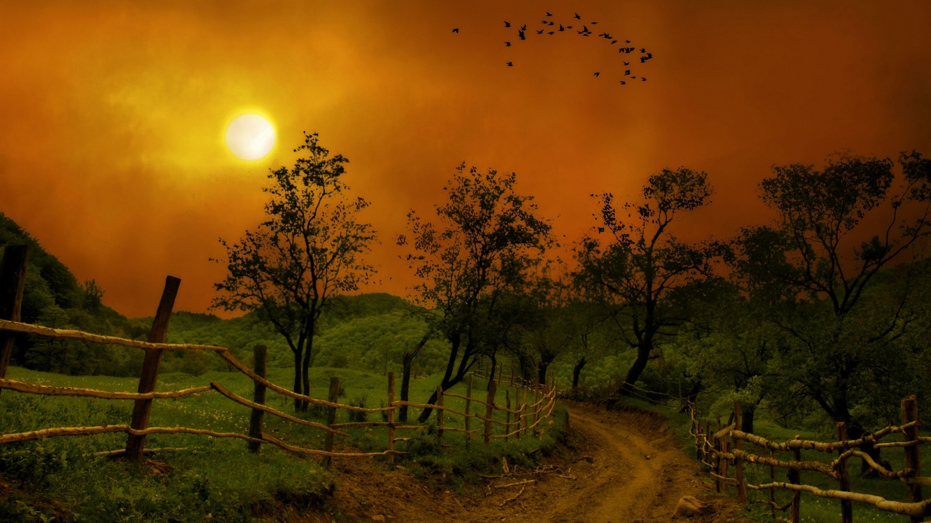 noche, carretera, paisaje