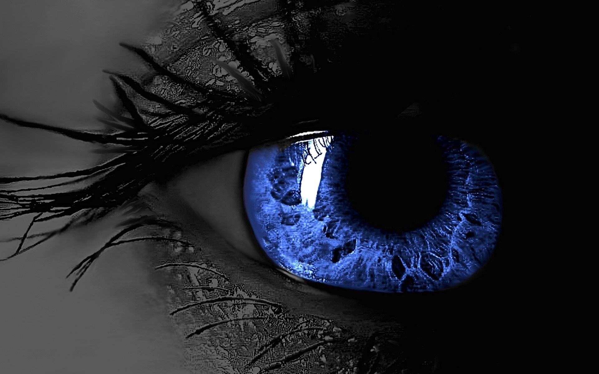 blue, eye, eyelashes
