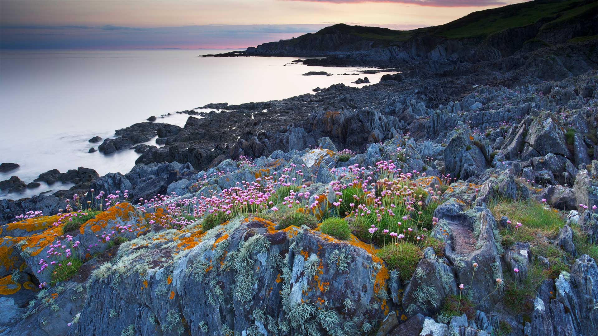 точка, devon, россия