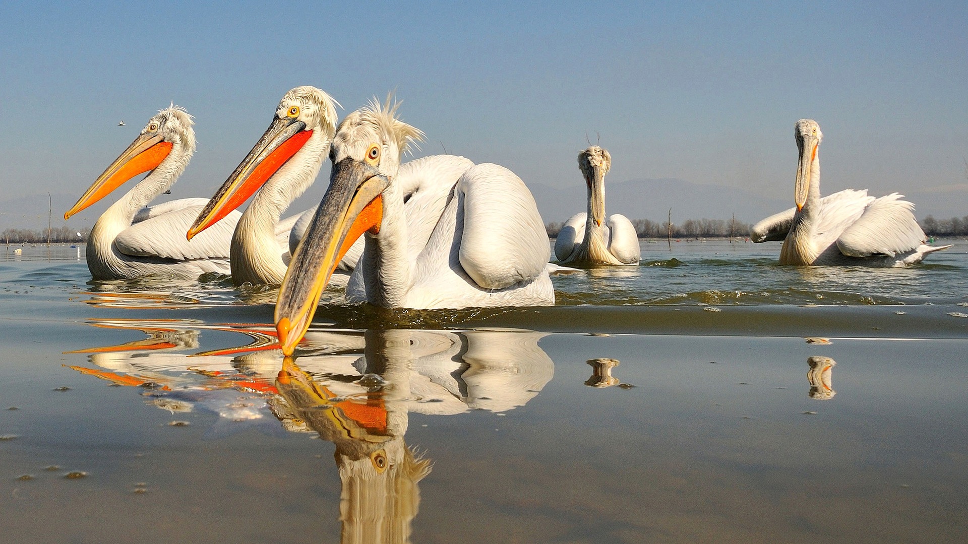 смартфон, пропасть, экран