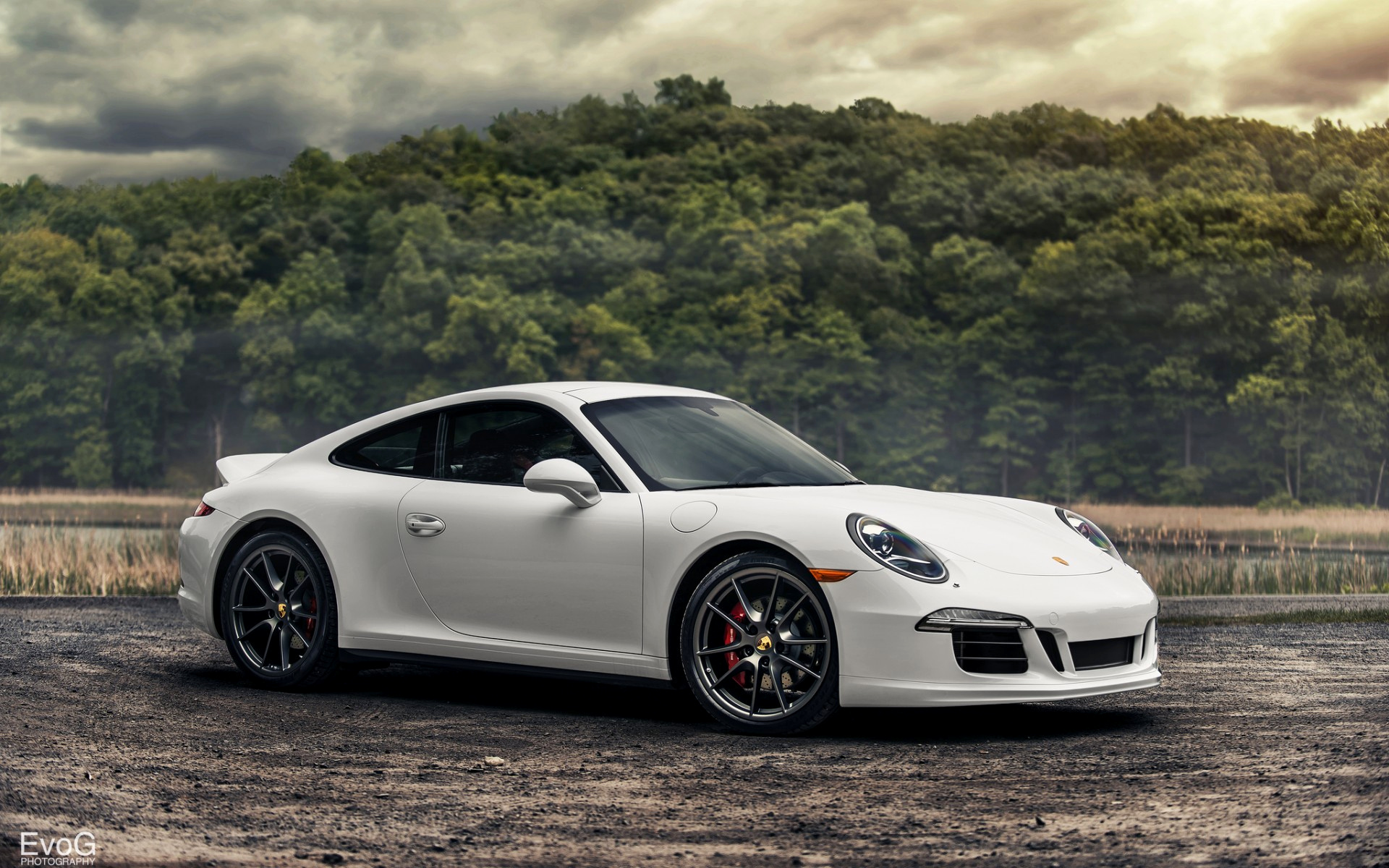 porsche, carrera, gucciardo