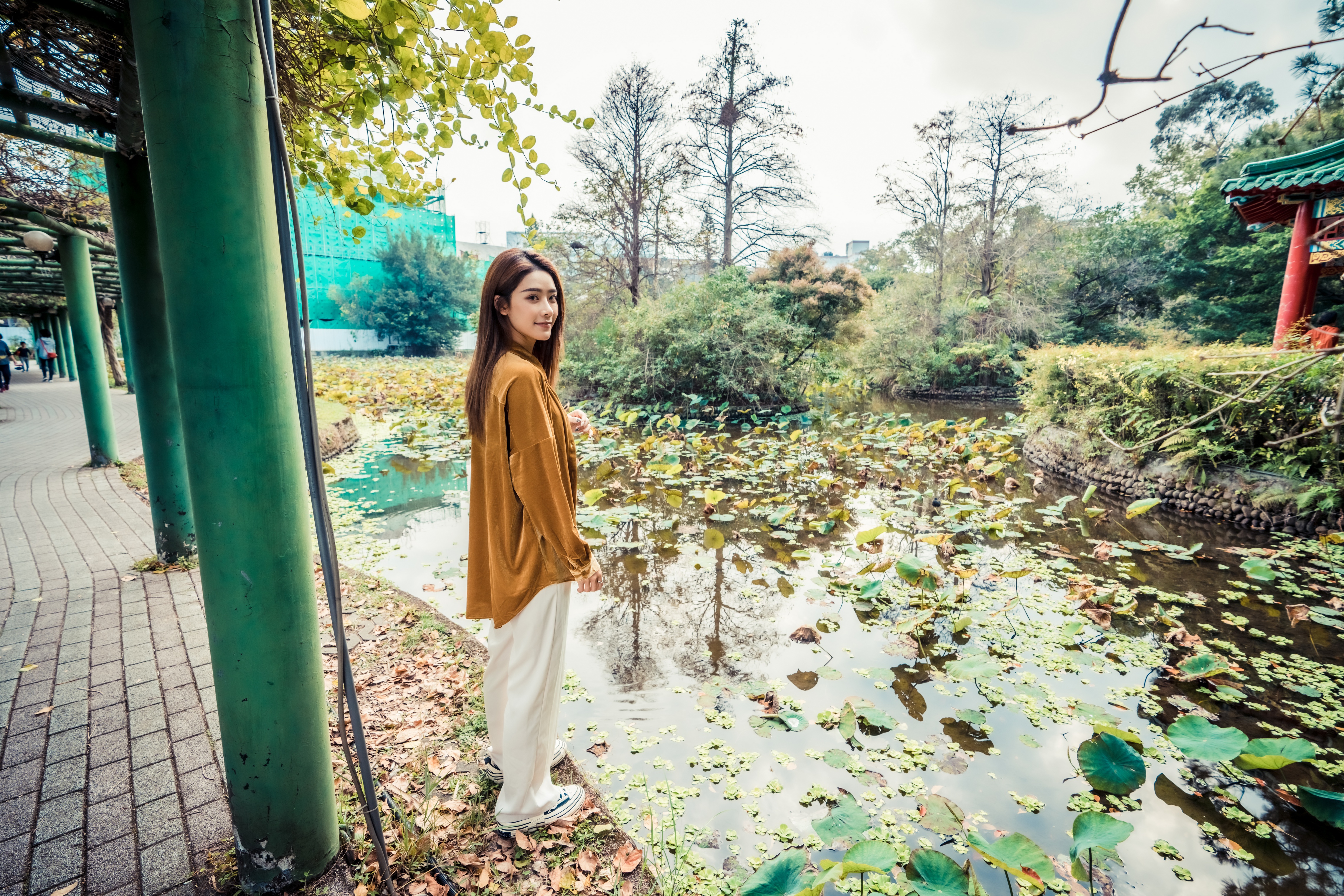 лето, осень, лето