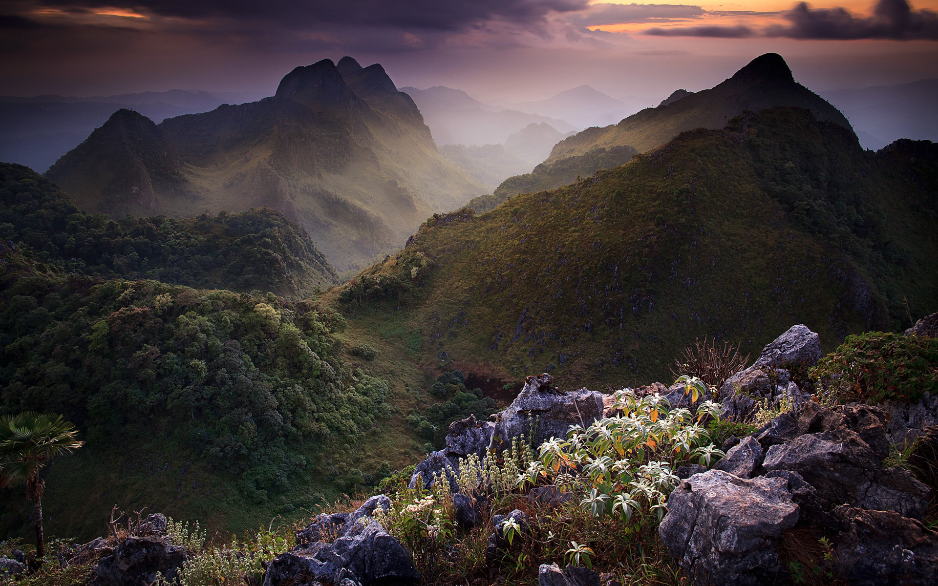 tiên, nhiên, cánh