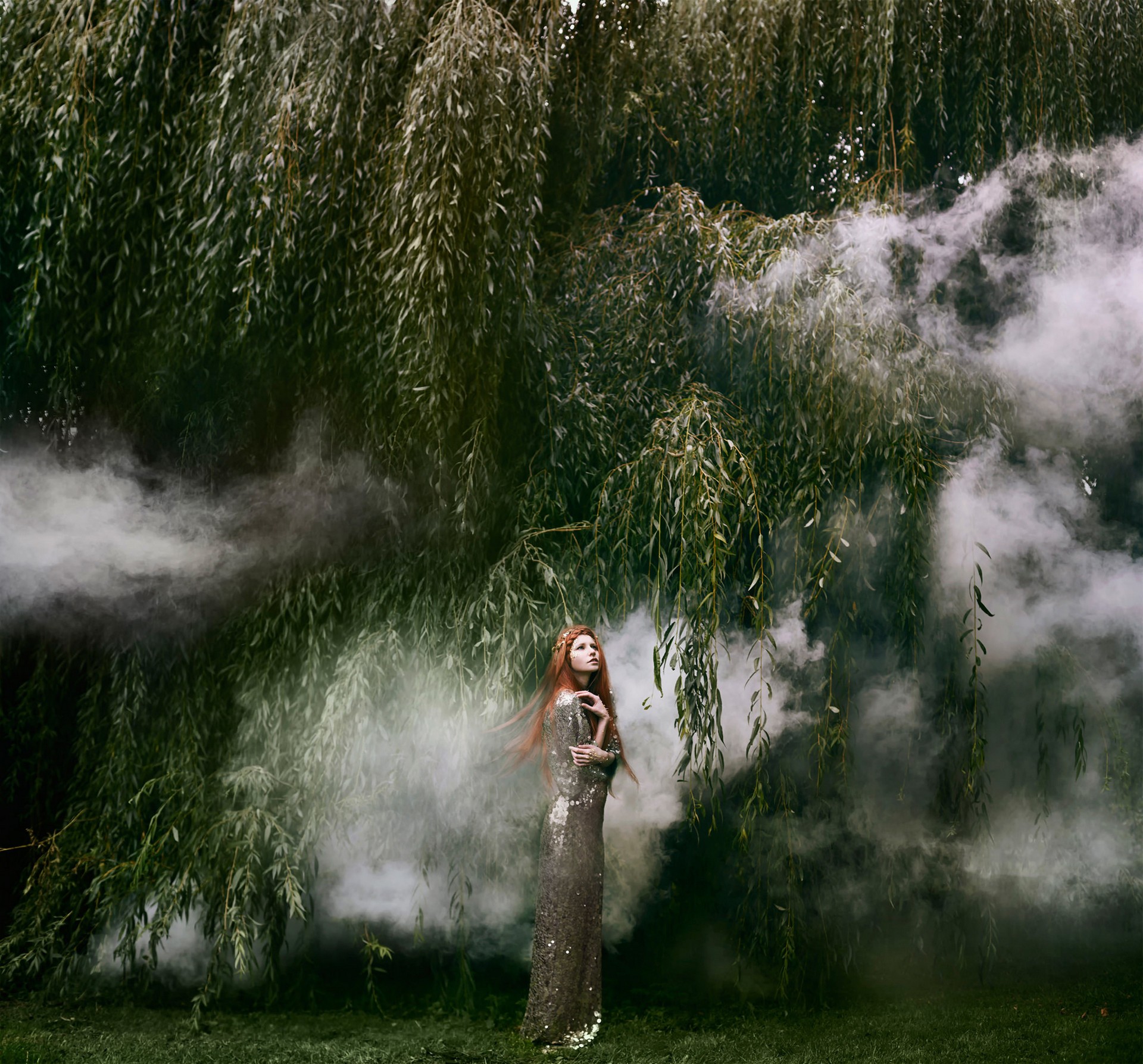 белла, котак