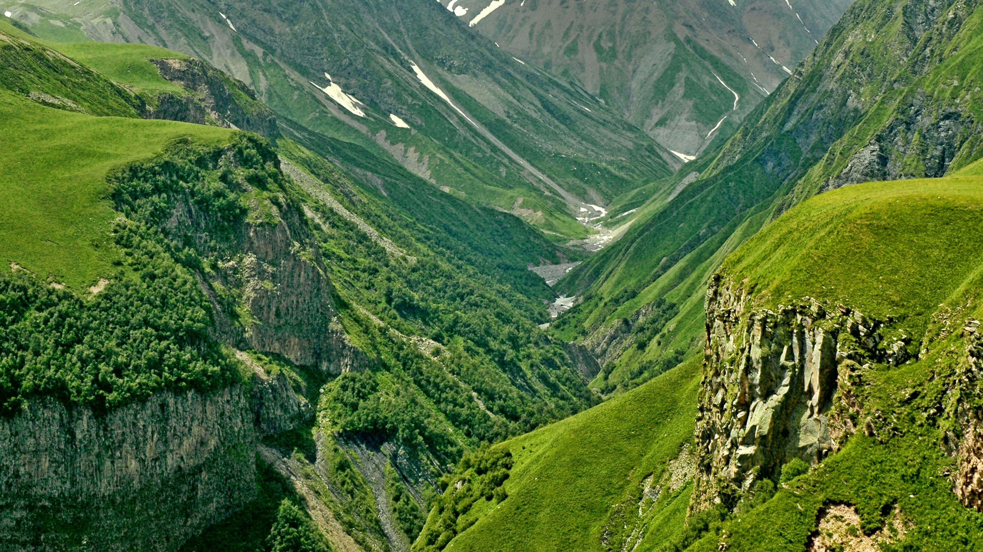 swisss, значок