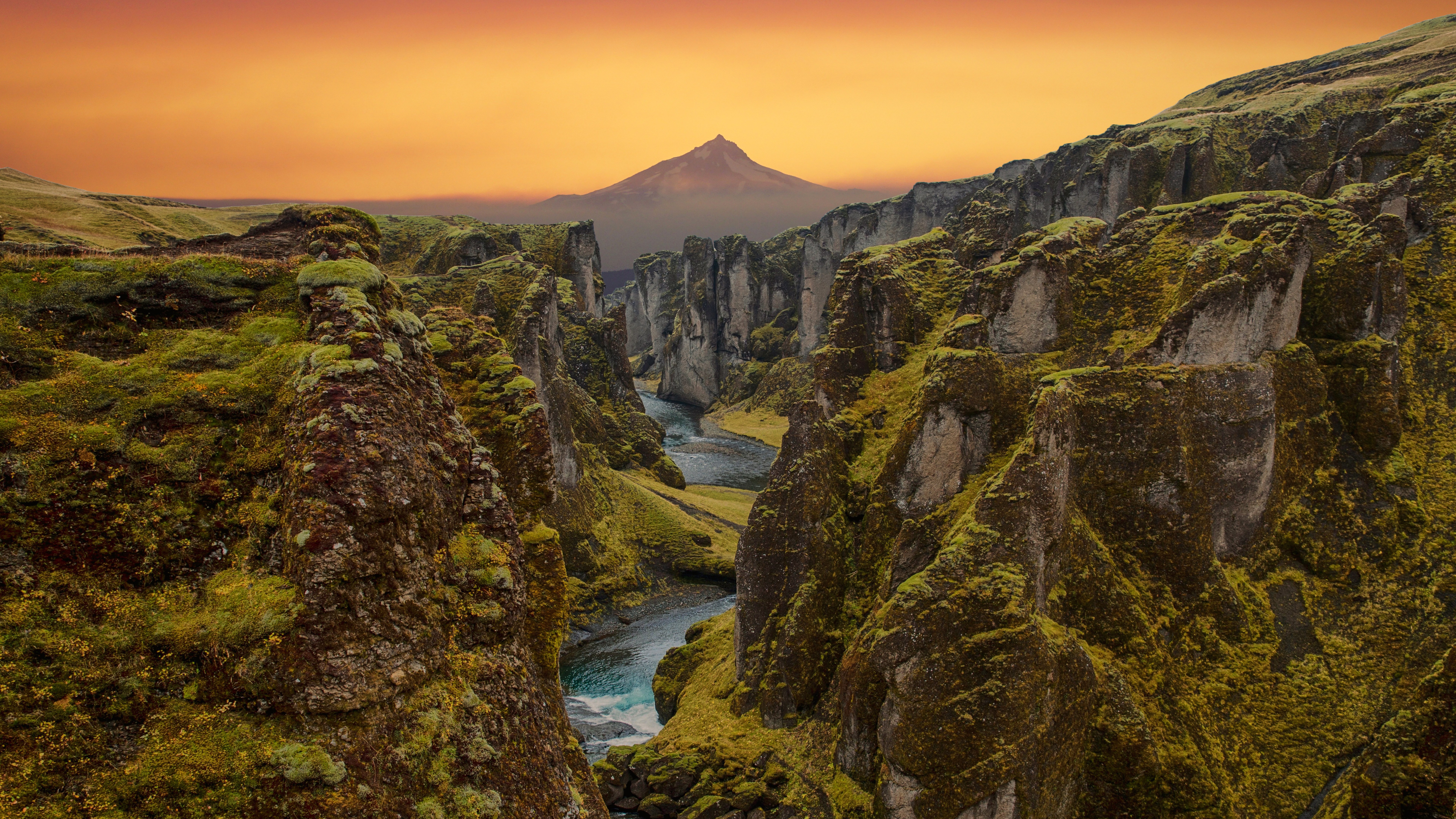 сайт, кора, наука