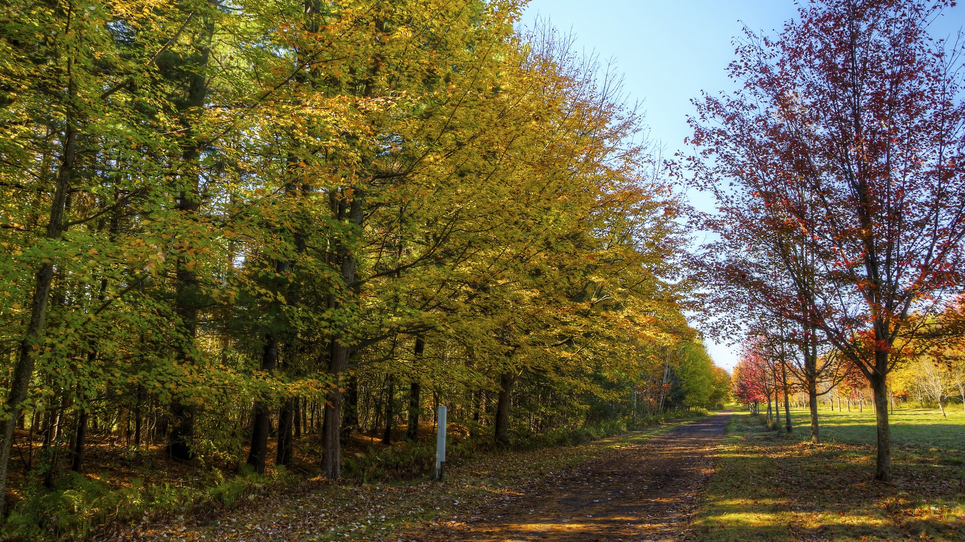 спереди, спереди, спереди