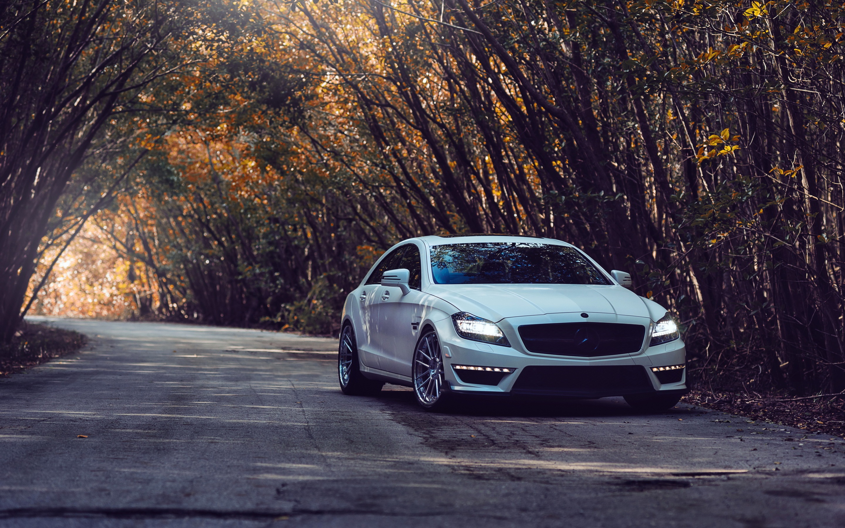 mercedes, amg, benz