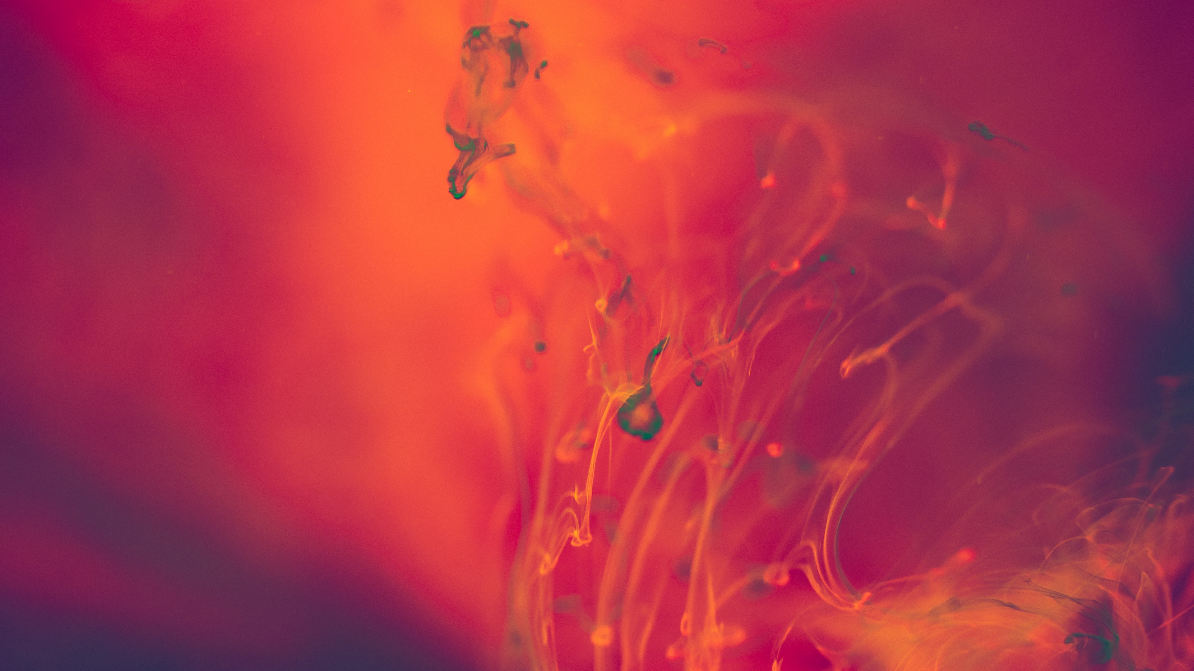 abstract, license, picjumbo