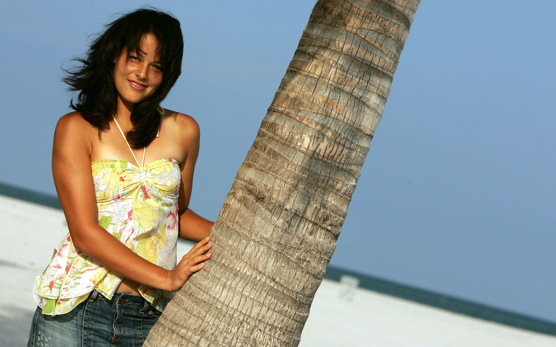 ana, ivanovic