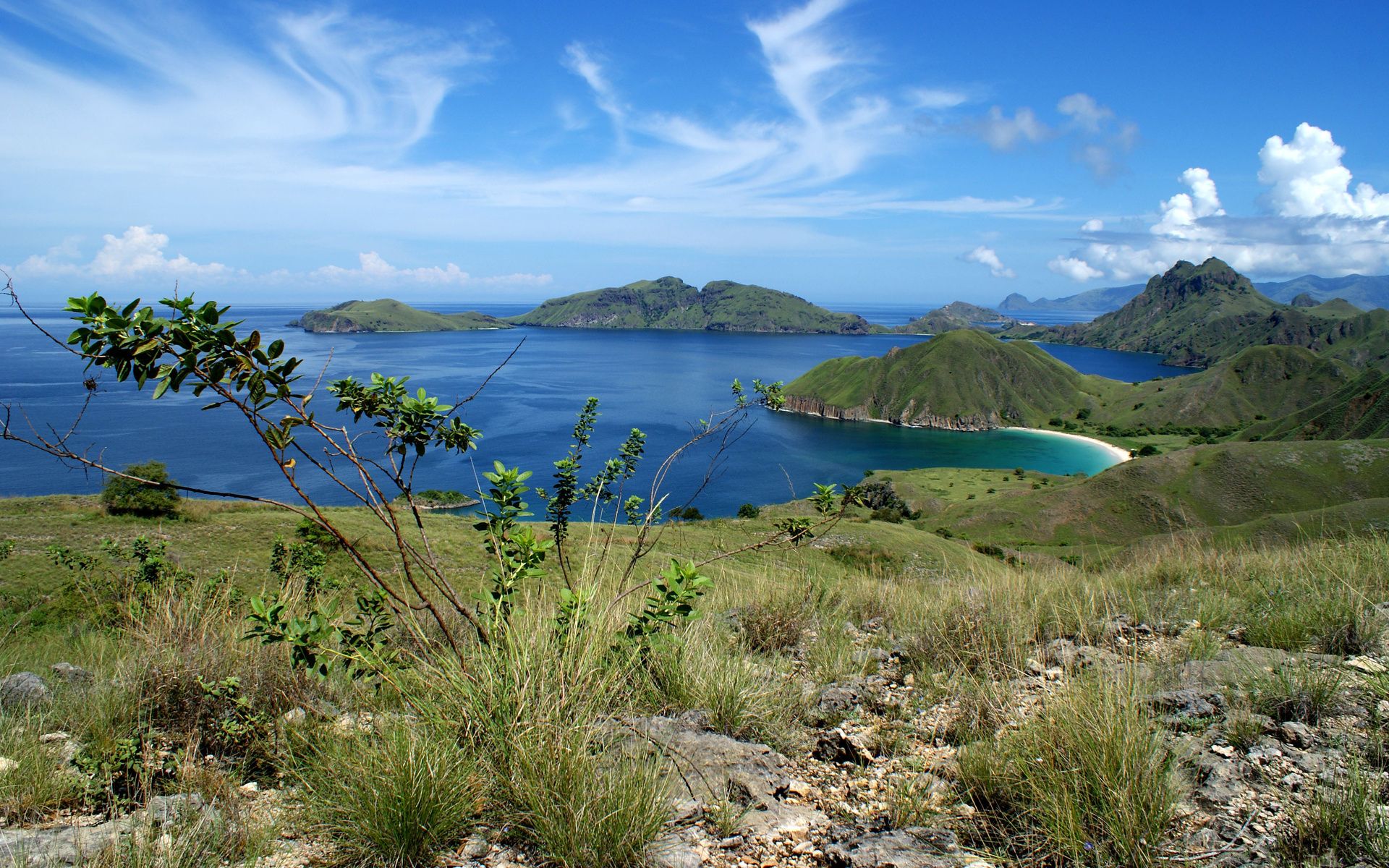 wisata, laboratoryuan, bajo