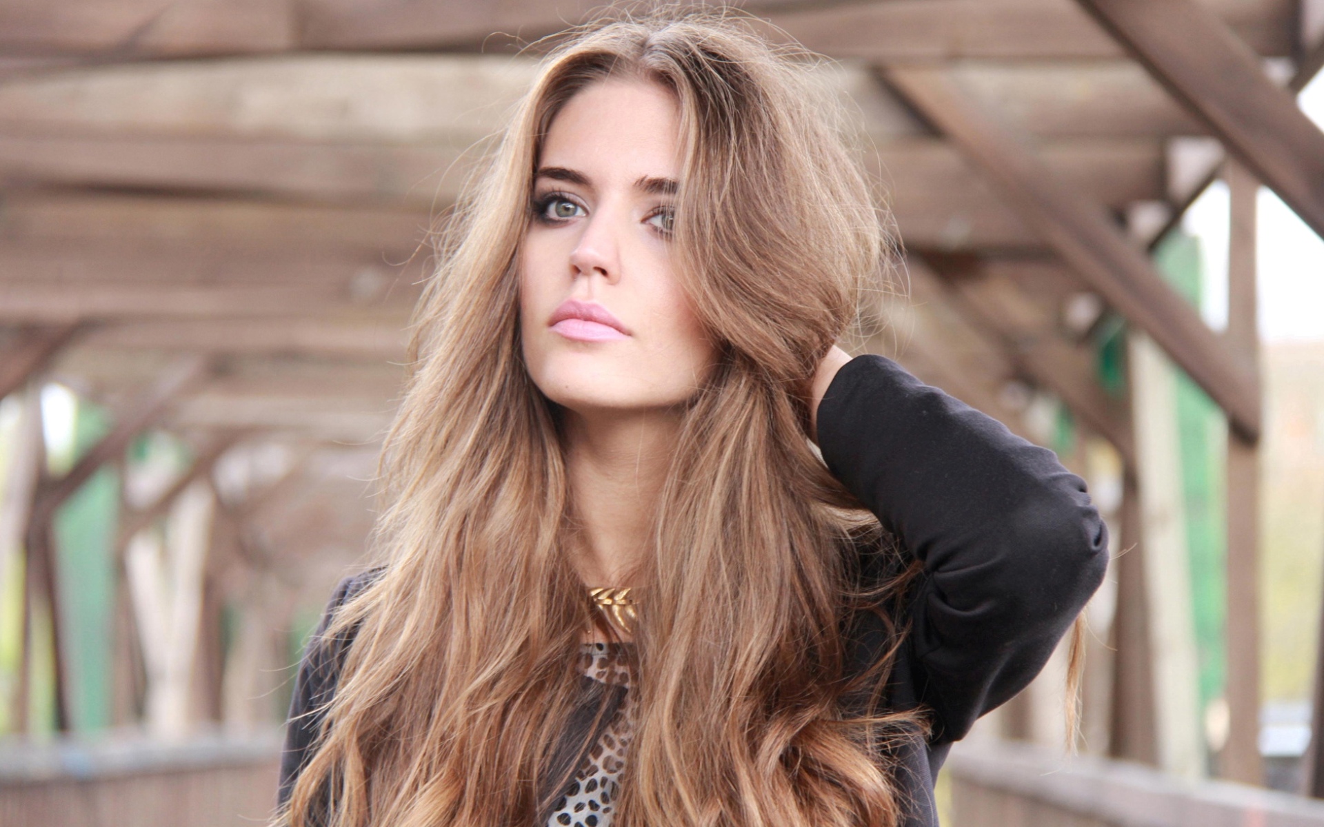 alonso, clara