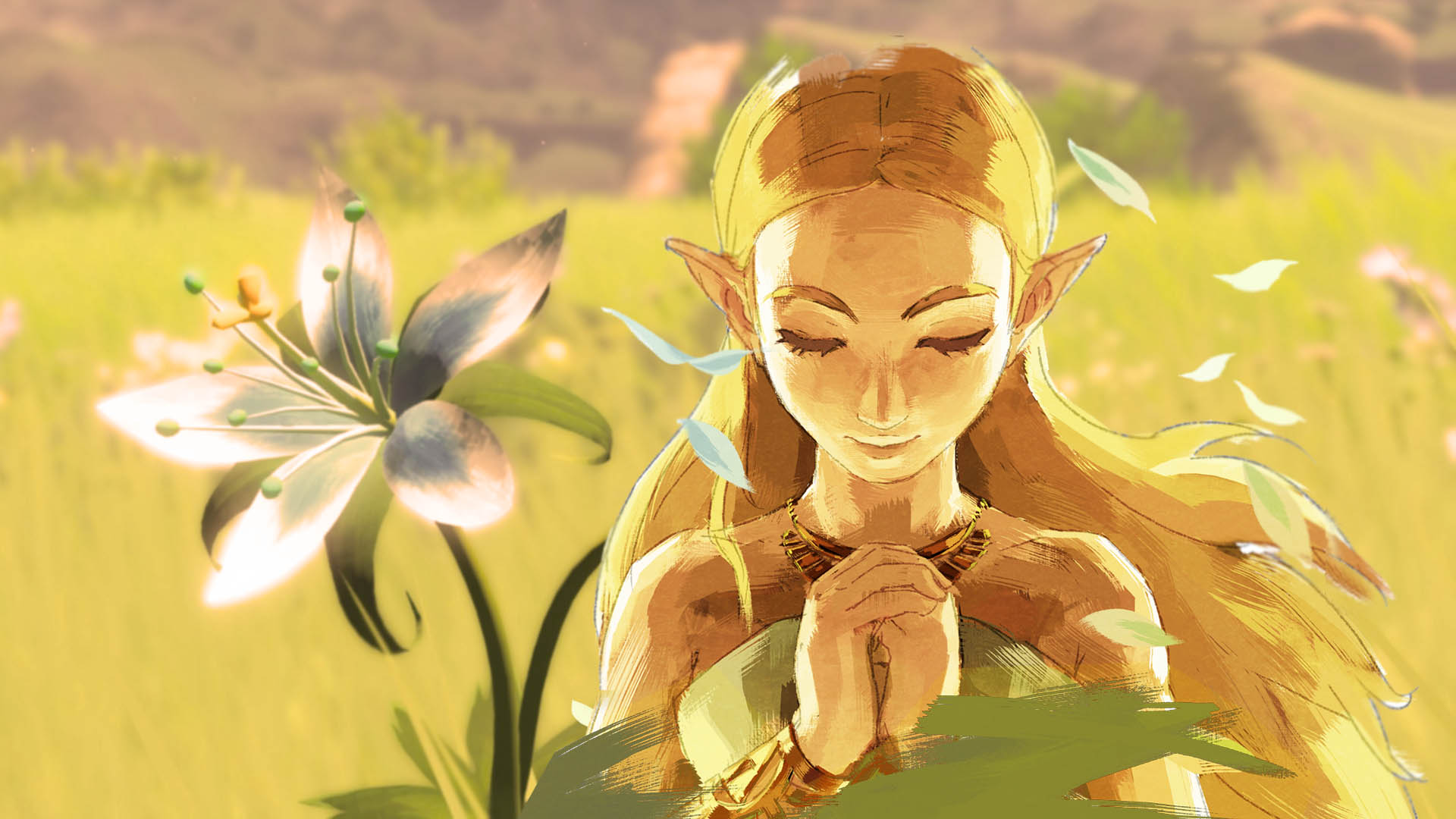 zelda, wild