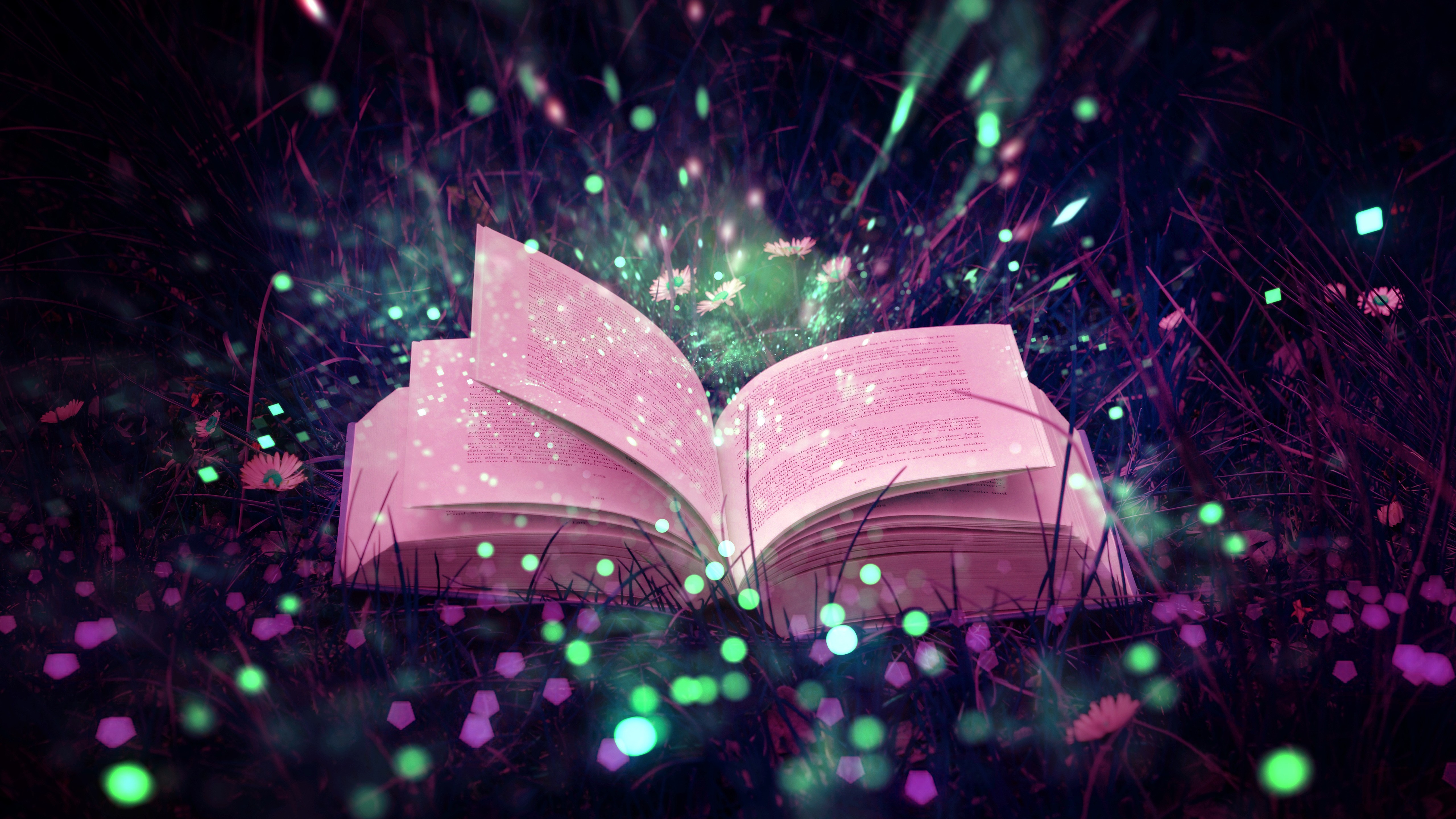 книга