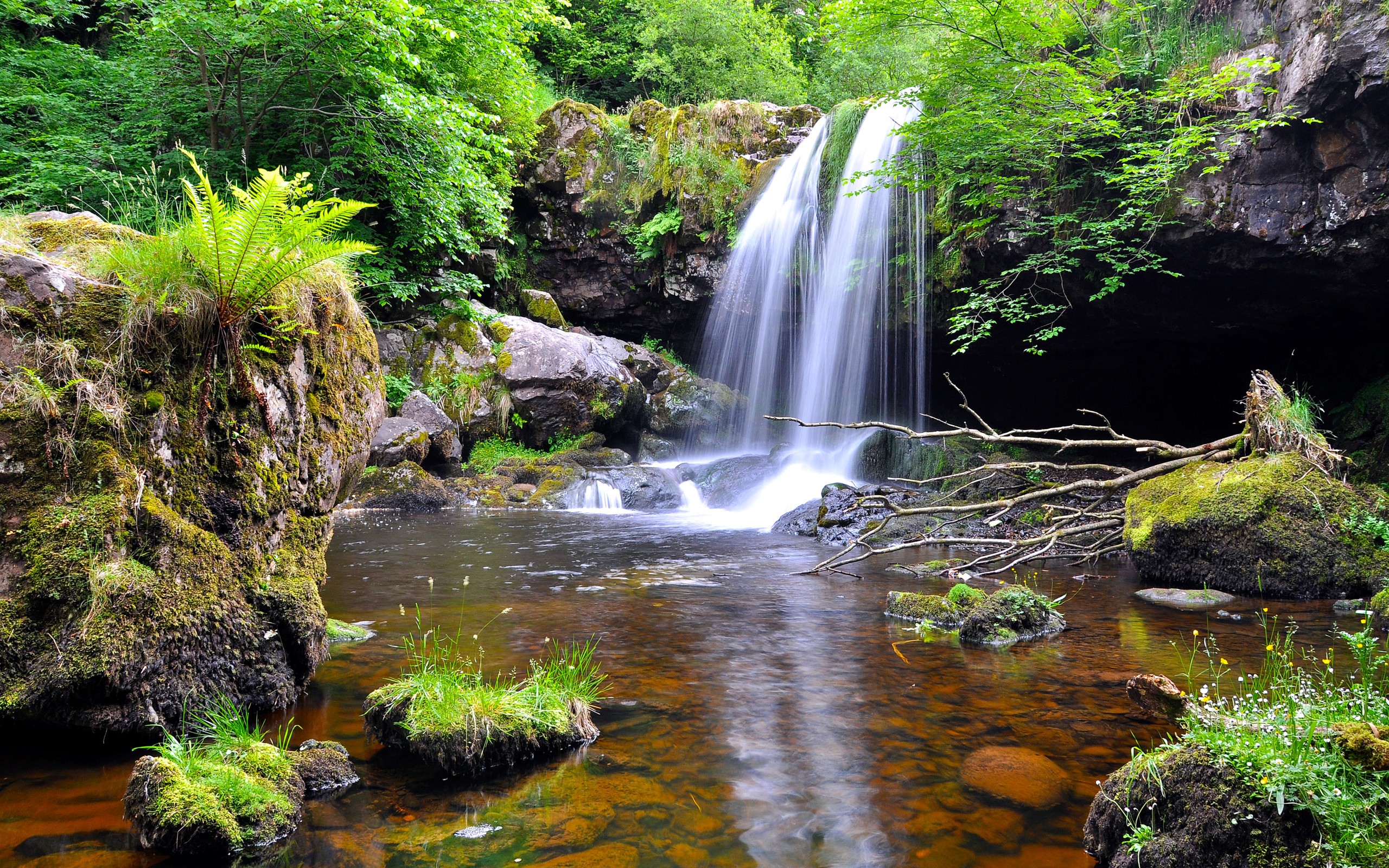 есть водопад, который течет вниз по холму в лесу