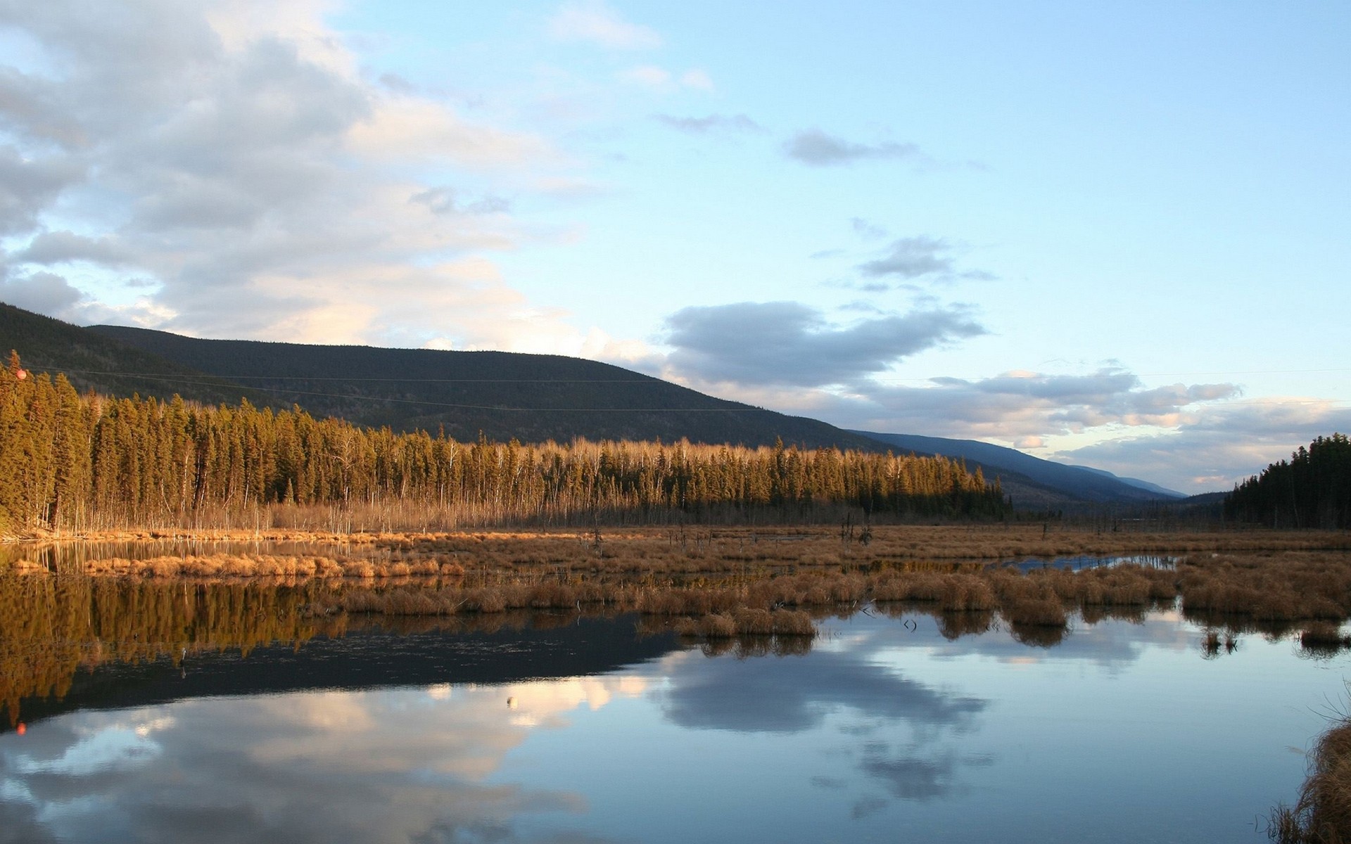 свободный, свободный