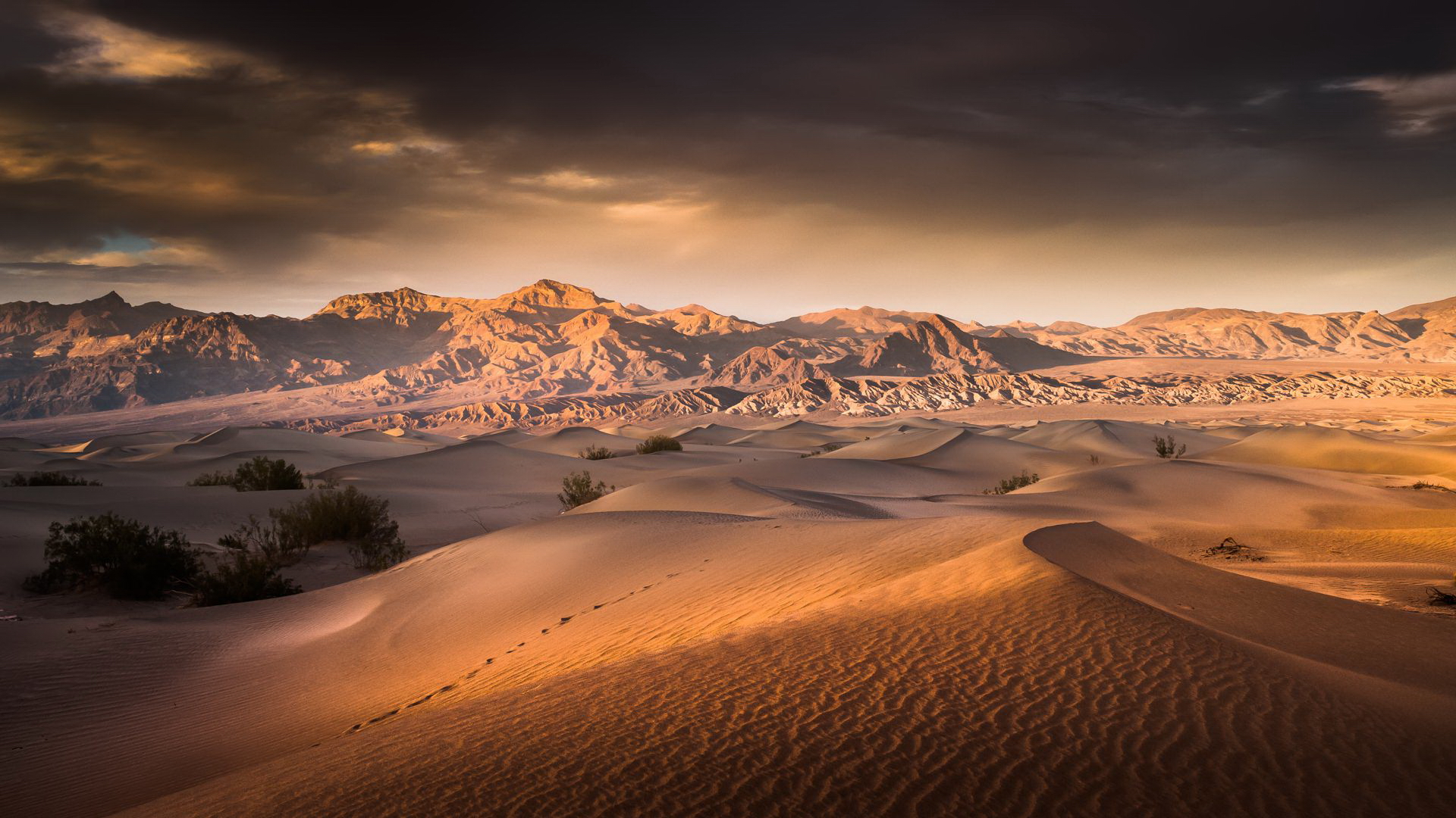 дюн, пустыня, смерть