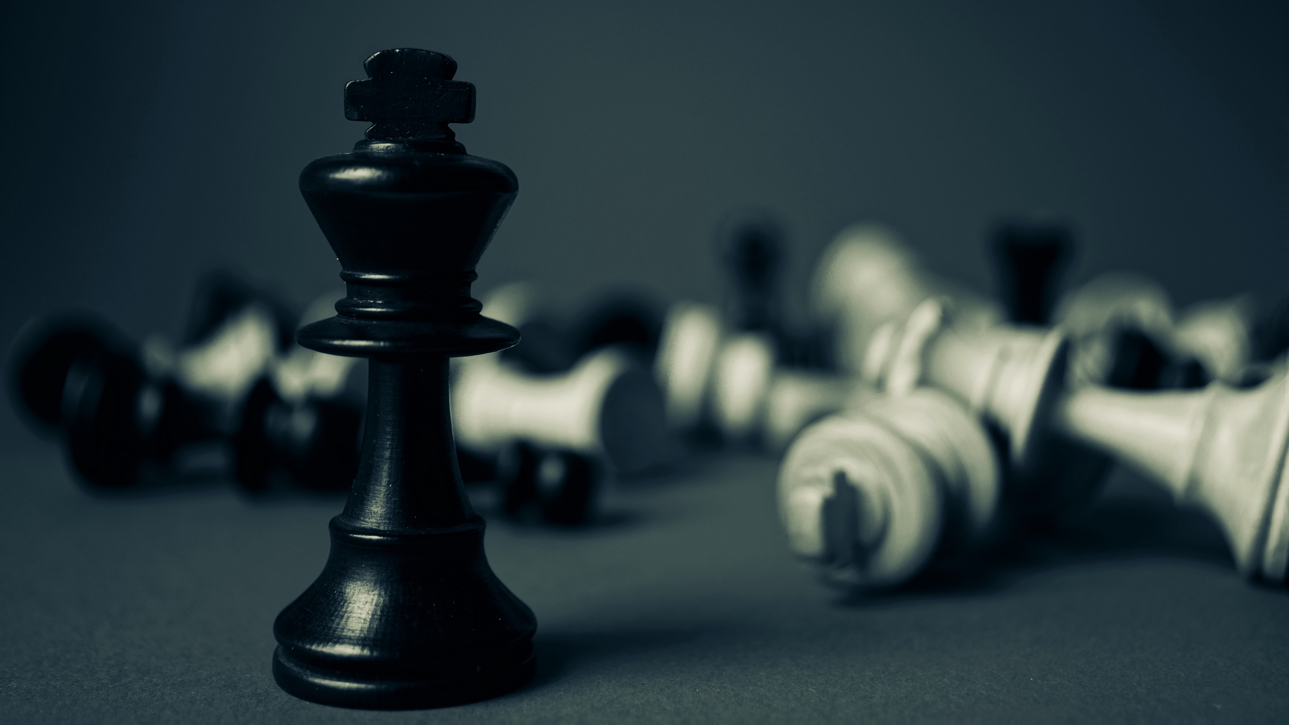 chess, agency, президент